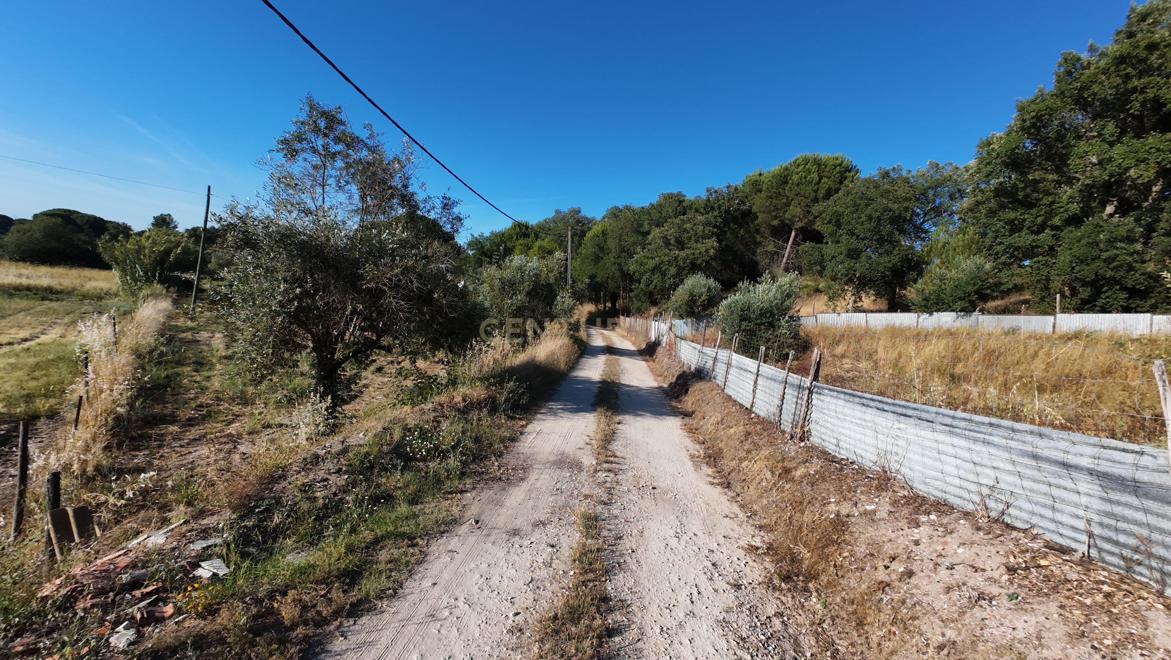 Fotografia 6 de Terreno Rústico em Foros da Boa Vista, Canha-Montijo– Natureza e Tranquilidade