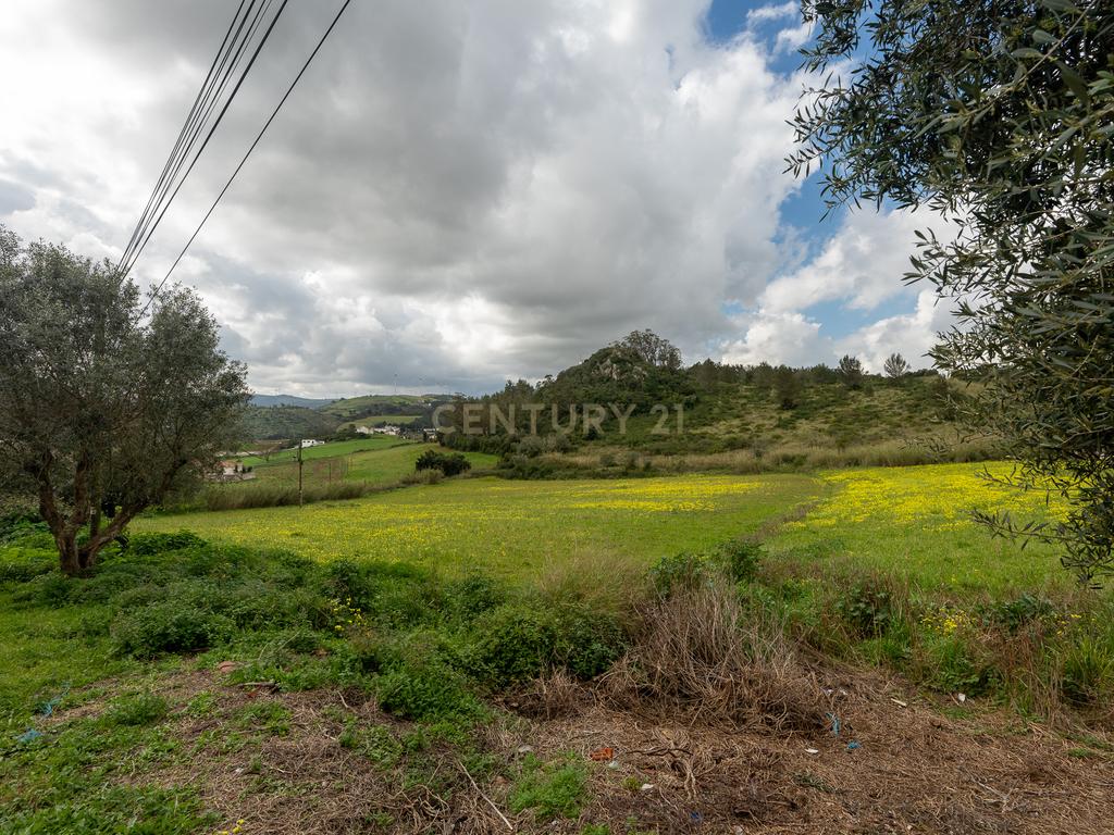 Terreno Urbano para Construção em Torres Vedras - Image 9