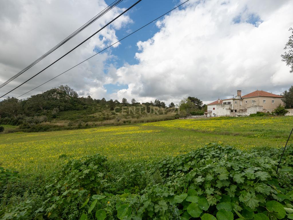 Terreno Urbano para Construção em Torres Vedras - Image 2
