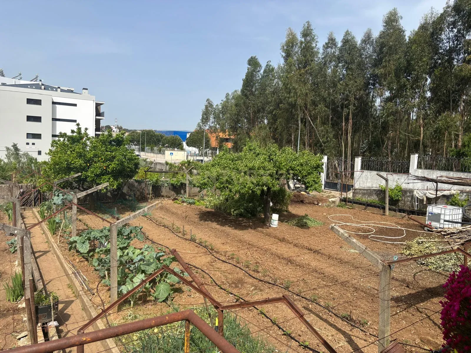 Fotografia 2 de Terreno para Construção em Altura – Entroncamento