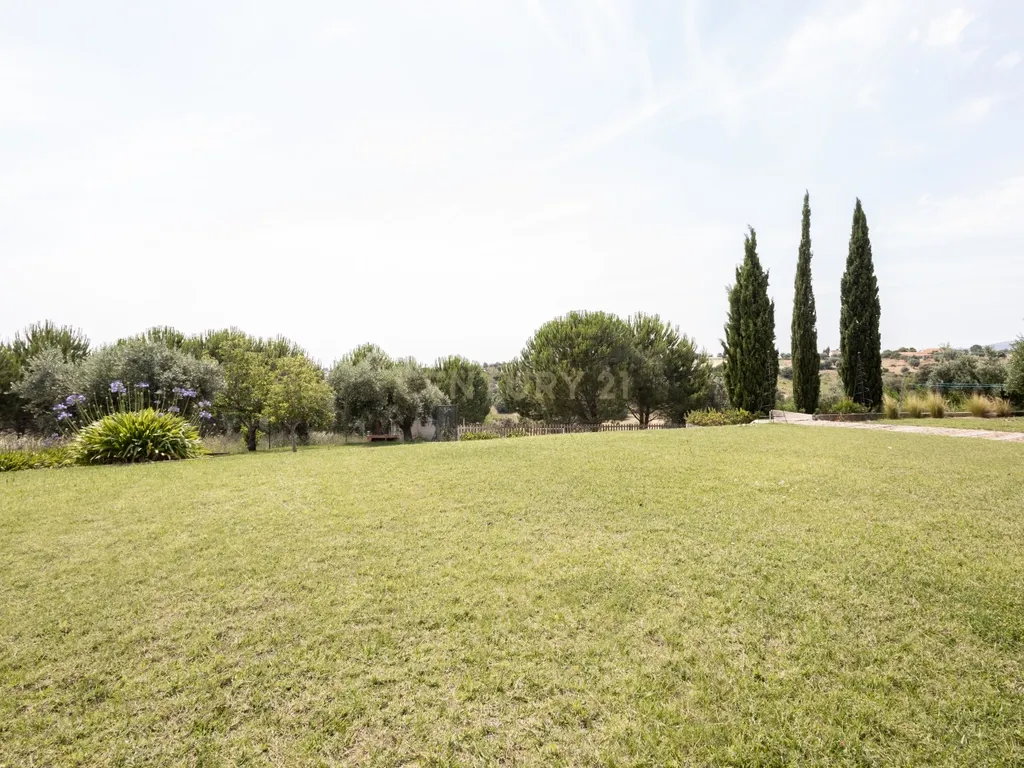 Propriedade Única com Piscina, Lago e Produção de Azeite - Image 42