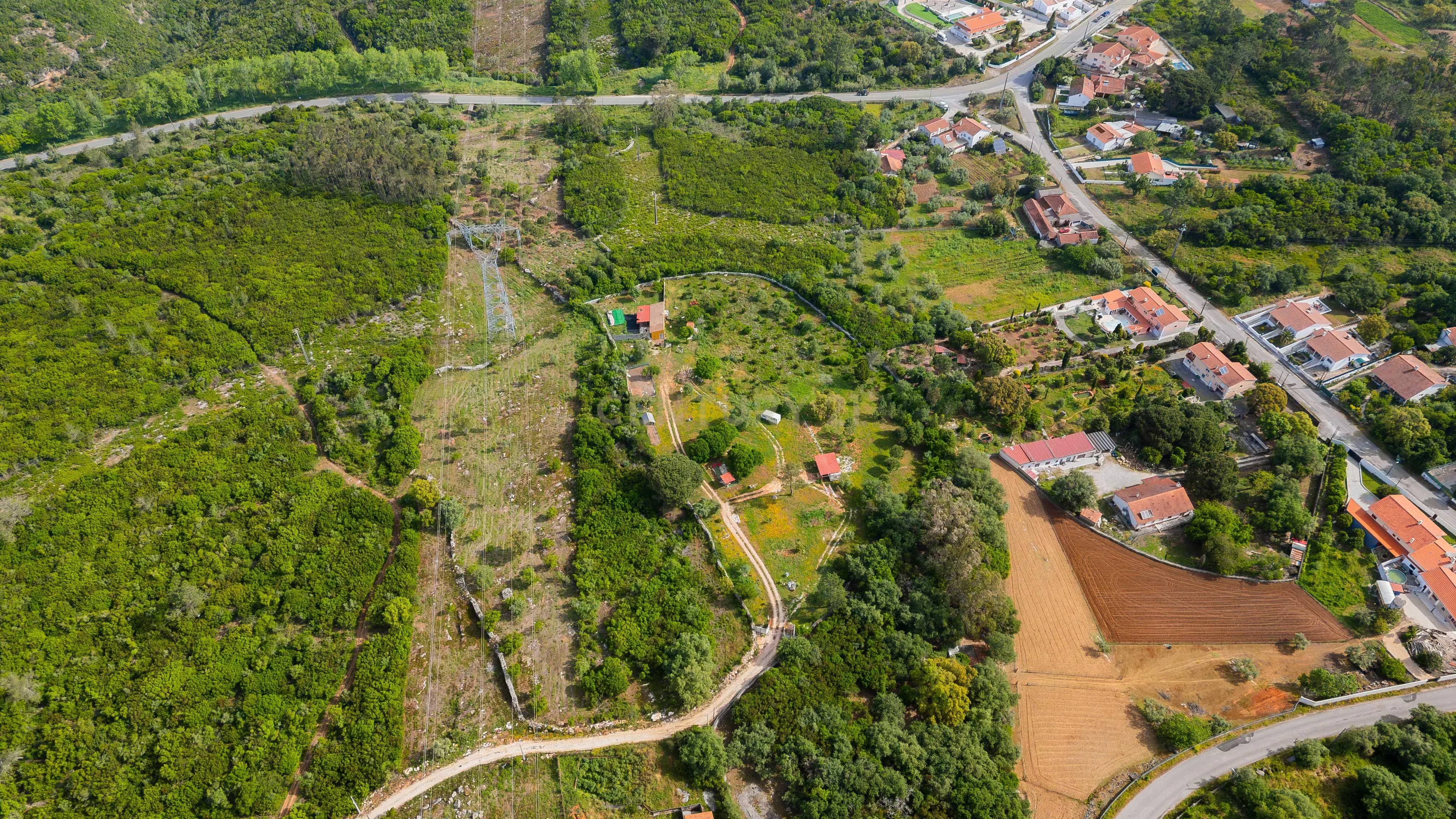 Quinta com habitação - Alcobaça - More