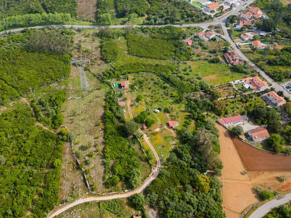 Quinta com habitação - Alcobaça - Image 7