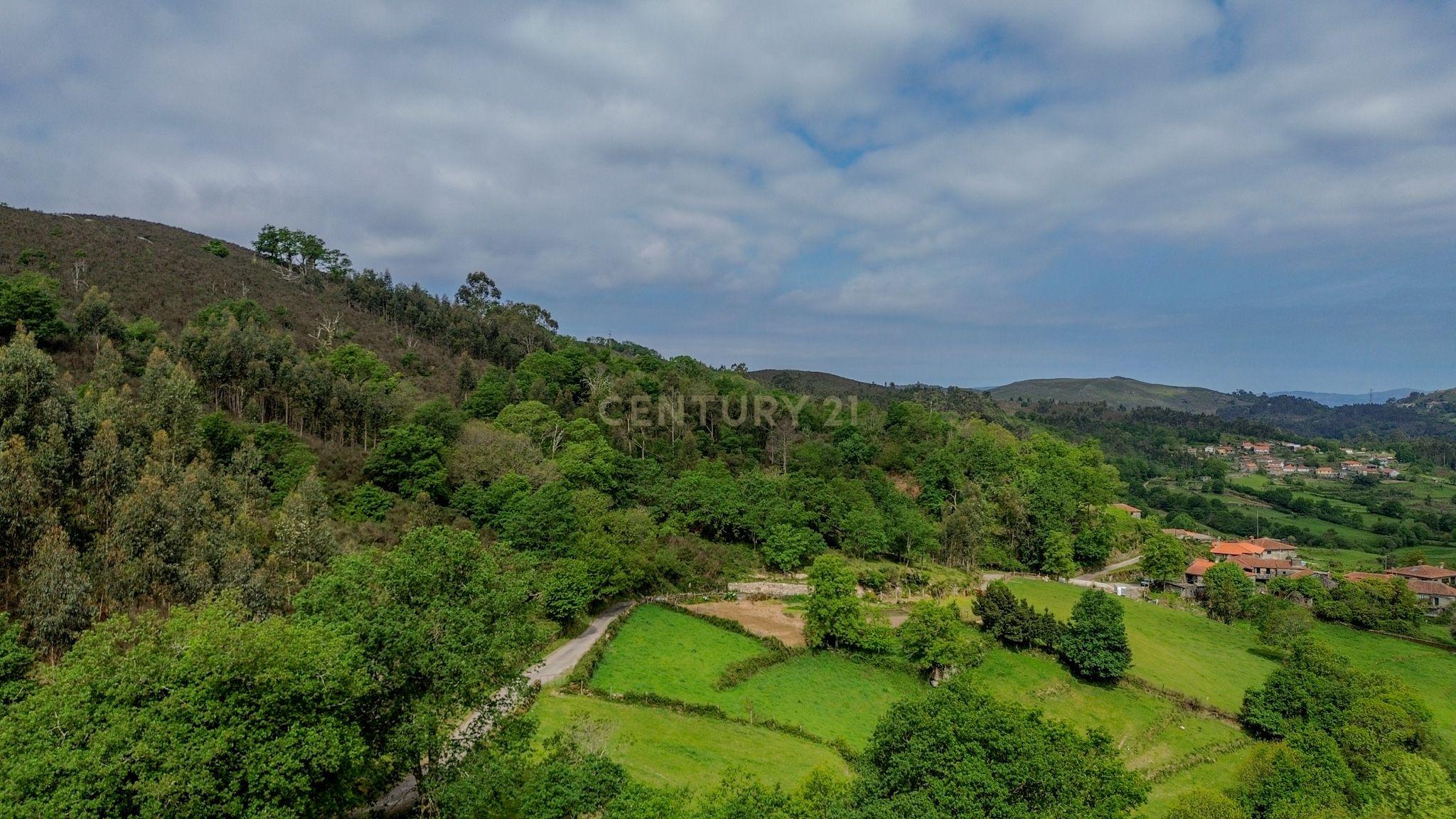 Moradia T4 à venda em Aboim da Nóbrega e Gondomar, Vila Verde — foto 24