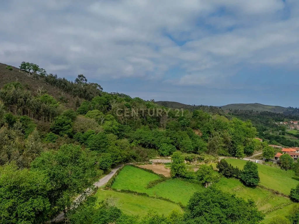Moradia Renovada em Aboim da Nóbrega Gondomar e Vila Verde, Braga - Image 24