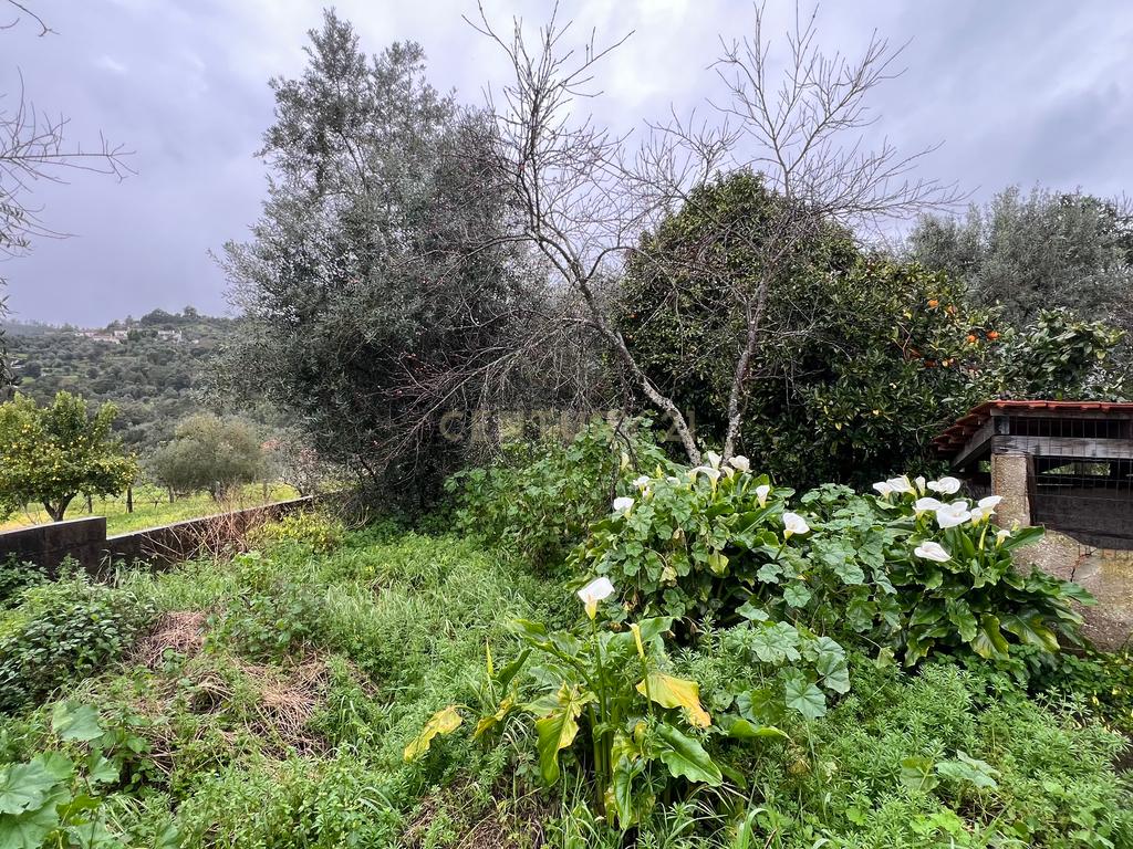 Moradia para remodelar a 1 km da encantadora Ilha do Lombo – Tomar - Image 17