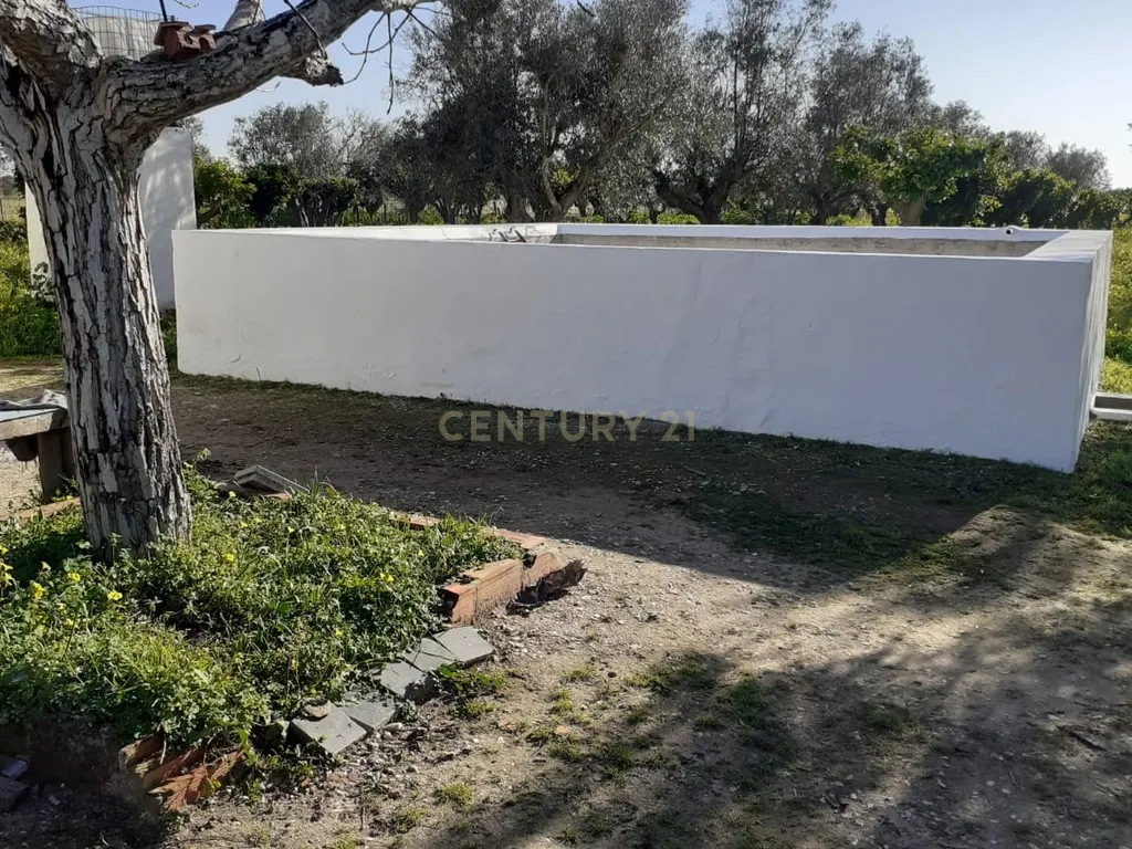 Quinta no Carapetal - Image 36