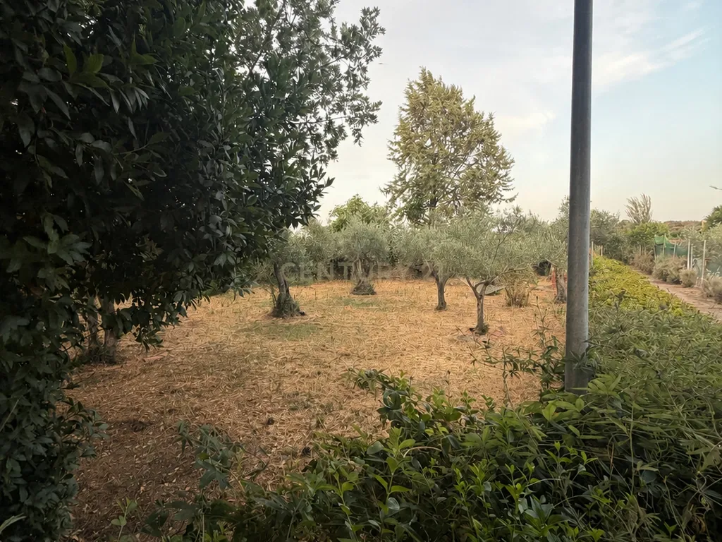 🌿 Um refúgio privado com piscina e quase 2 000 m² de natureza, a 5 minutos de Trujillo. - Image 30