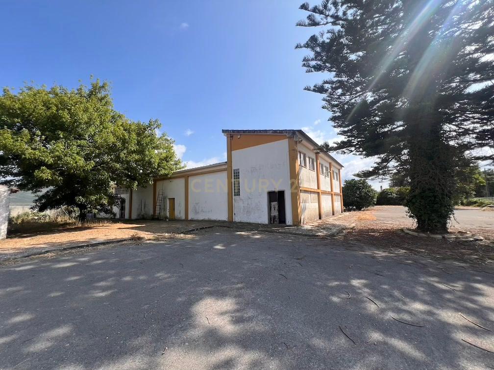 Pavilhão com grande potencial industrial/comercial junto à estrada principal em Albergaria – Juncal - Image 3