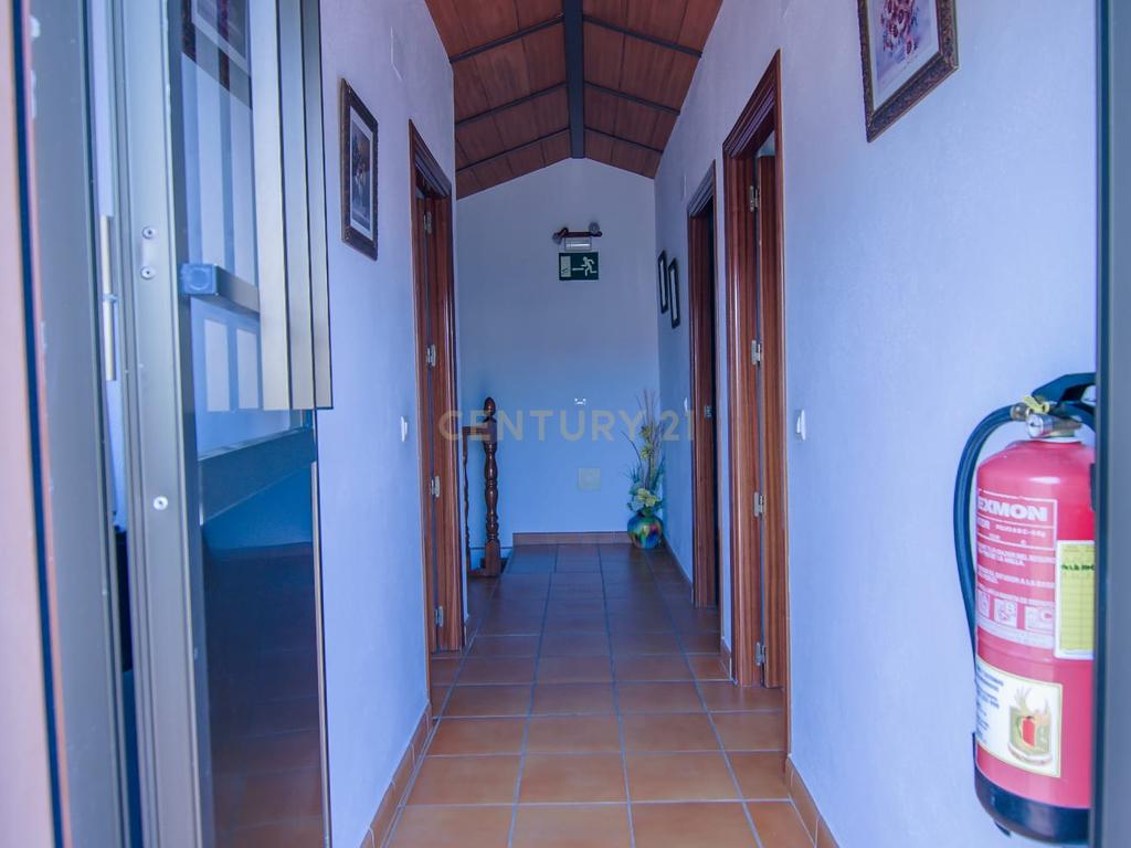 Uma propriedade rural rodeada pela natureza com uma casa de dois andares, piscina privada vedada e terraço para banhos de sol, licença turística, um olival produtivo, instalações para animais adaptáveis ​​e acesso pavimentado a apenas 10 minutos de Ronda. - Image 42