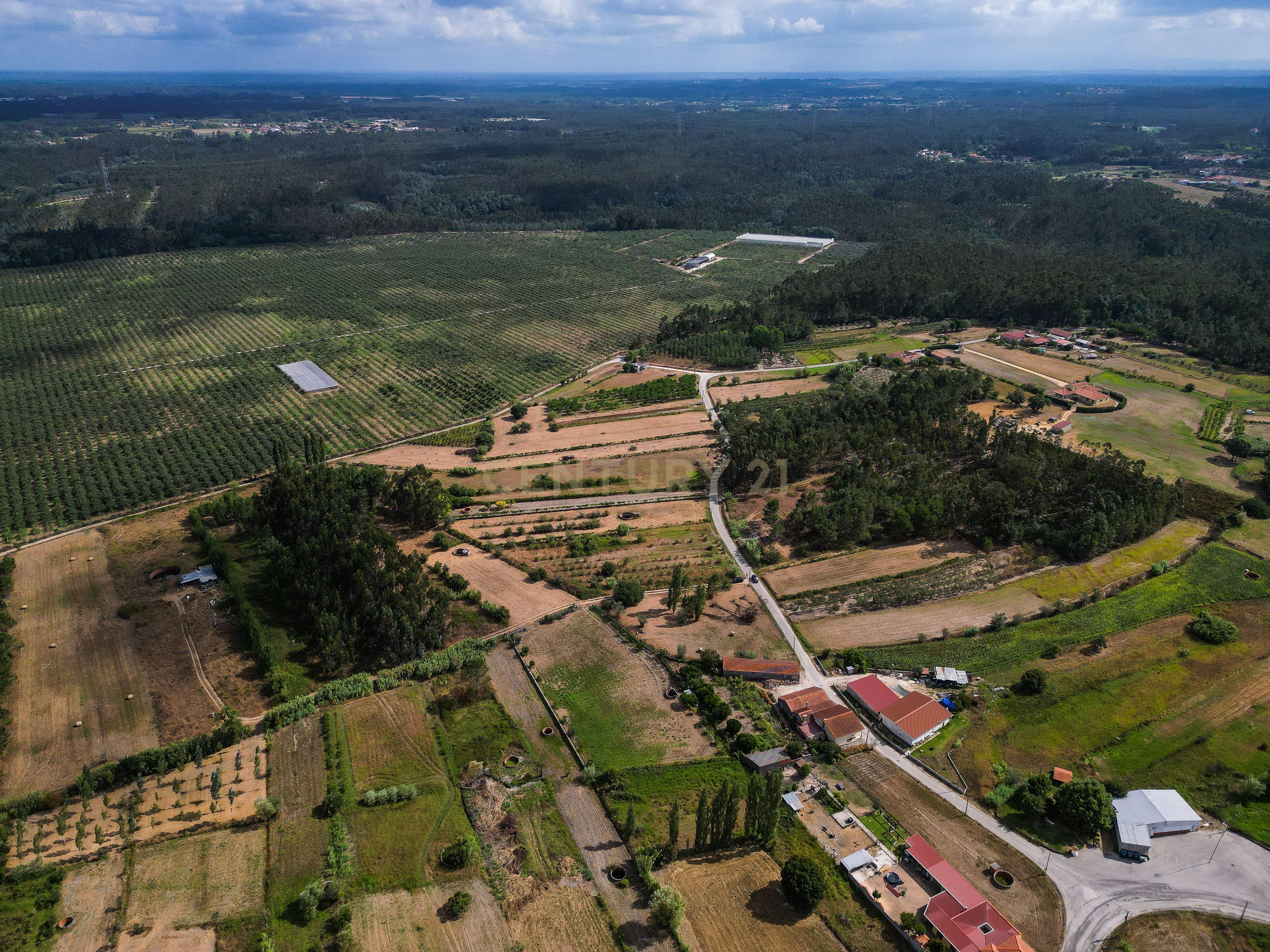 Fotografia 4 de Terreno de cultivo com poço em Cabeça Alta – Seixo de Gatões, Montemor-o-Velho