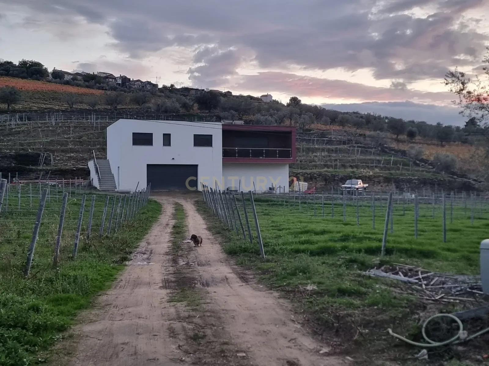 🏡Quinta com Moradia T3 e Vinha no Coração do Alto Douro Vinhateiro – Património Mundial da UNESCO - Image 4