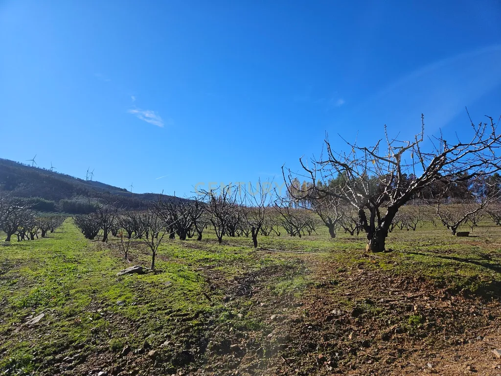 Quinta de Excelência Agrícola na Região Premium do Fundão: 32 ha de Alta Produtividade - Image 26