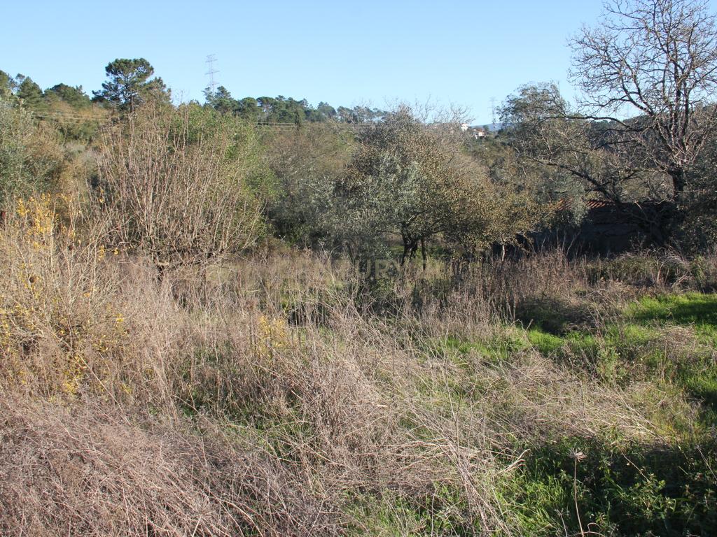 Terreno para construção de moradia - Image 7