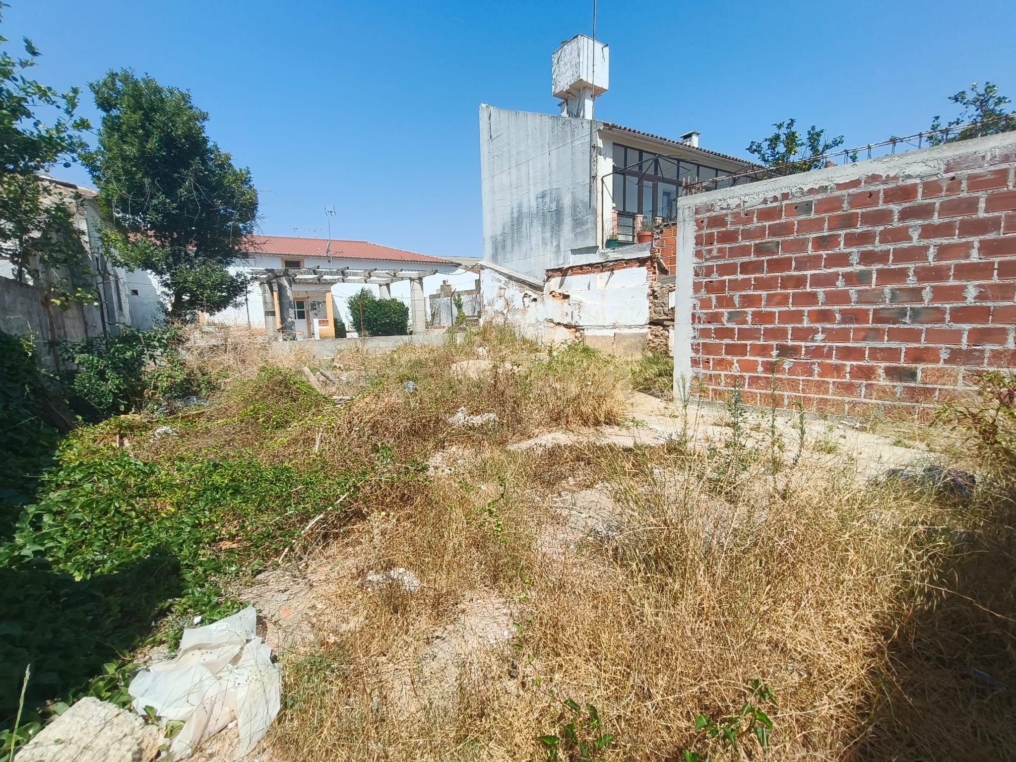 Moradia T3 à venda em Azinhaga, Golegã — foto 18