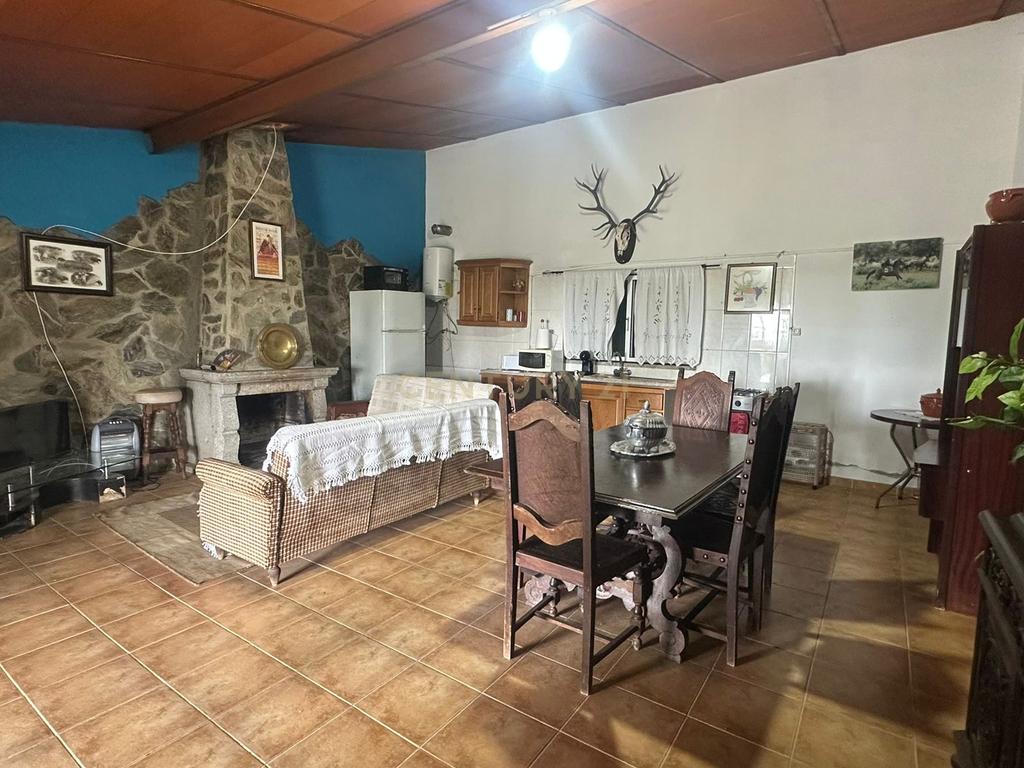 Fantástica Quinta, 5.3ha- Zebreira, Idanha-a-nova - Image 3