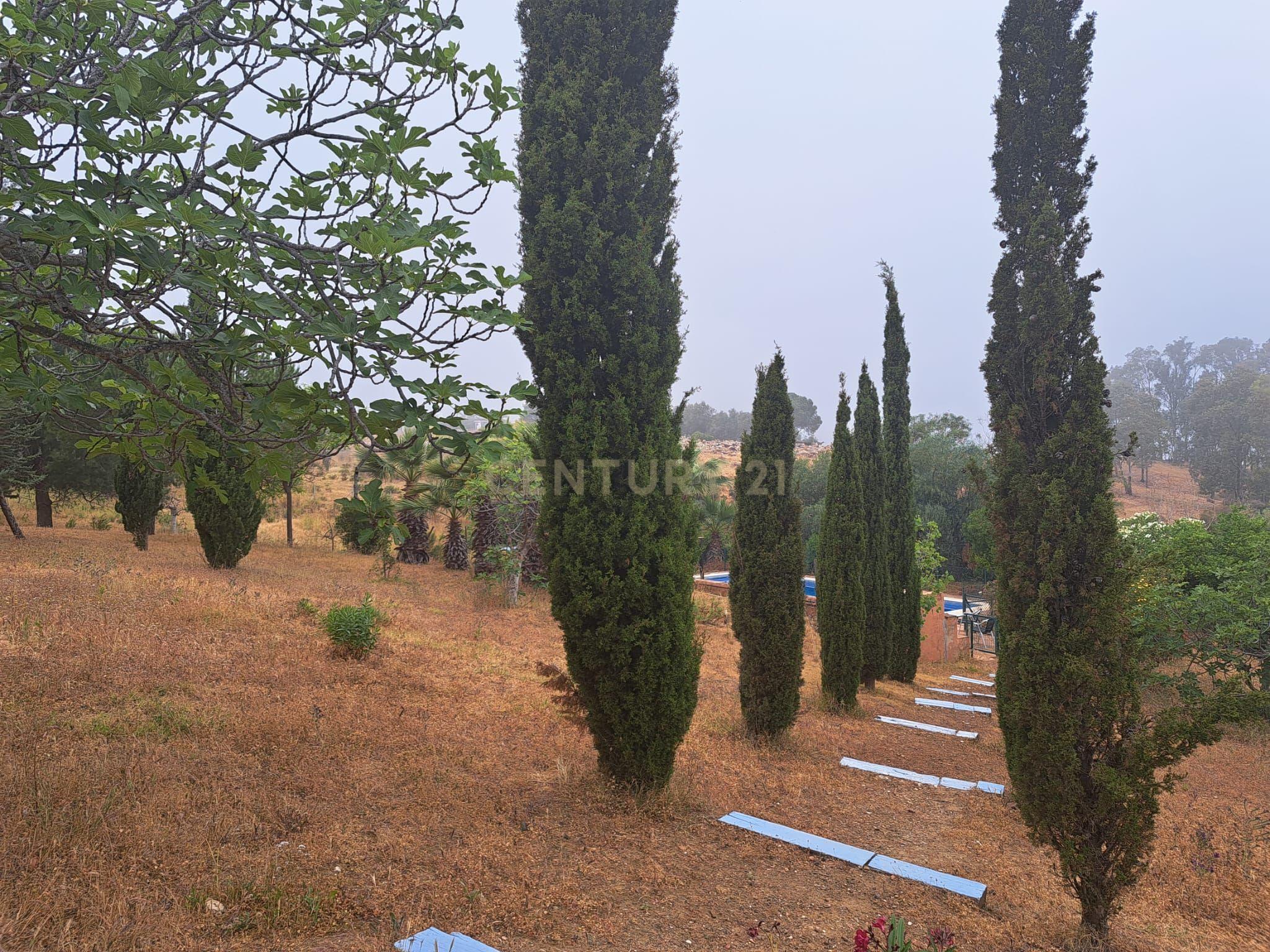 Encantadora Vivenda Rústica à Venda em Entrerríos, Mijas – 1.100.000 € - Image 9