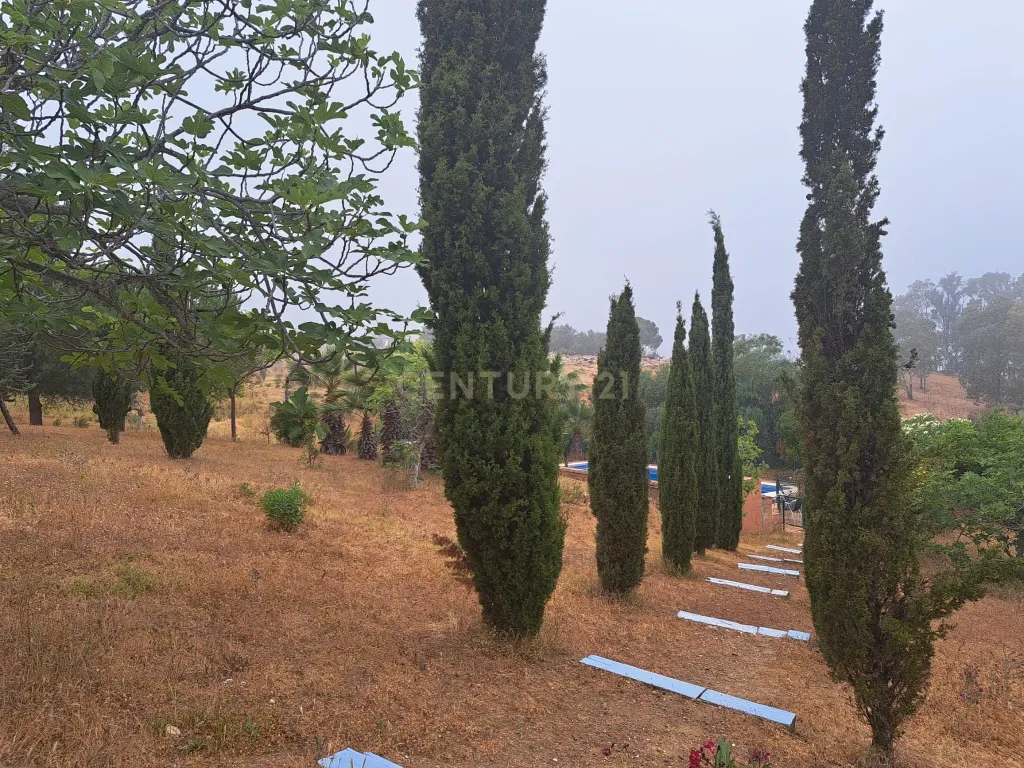 Encantadora Vivenda Rústica à Venda em Entrerríos, Mijas – 1.100.000 € - Image 9