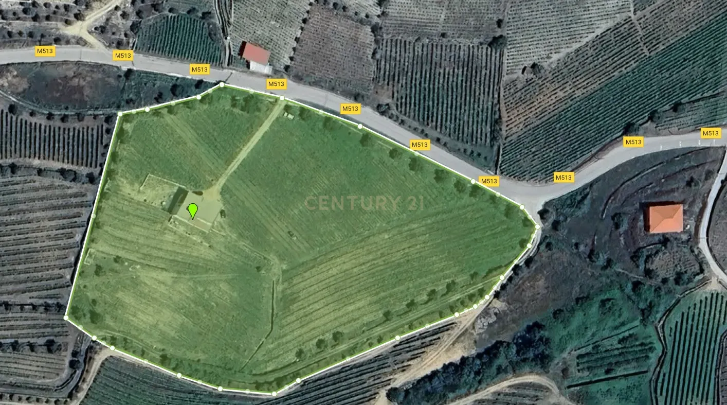 🏡Quinta com Moradia T3 e Vinha no Coração do Alto Douro Vinhateiro – Património Mundial da UNESCO - Image 75