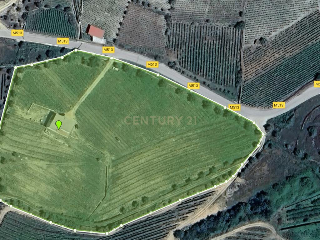 🏡Quinta com Moradia T3 e Vinha no Coração do Alto Douro Vinhateiro – Património Mundial da UNESCO - Image 75