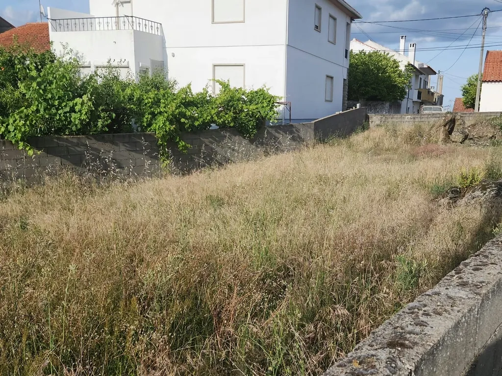 🏡 Oportunidade única na Lousa, Castelo Branco - Image 8