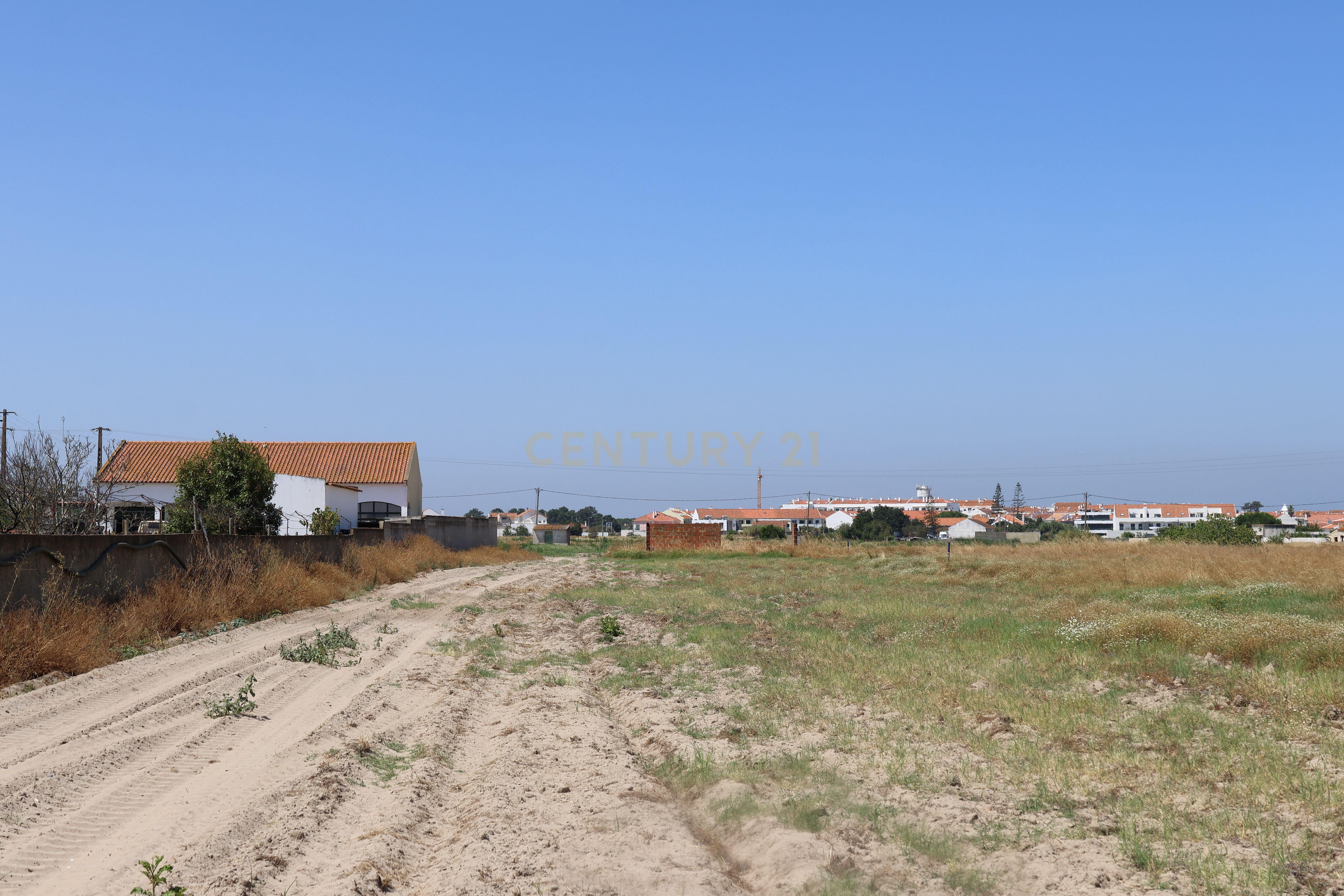 Fotografia 6 de Terreno 1.6 Ha Samouco - Alcochete
