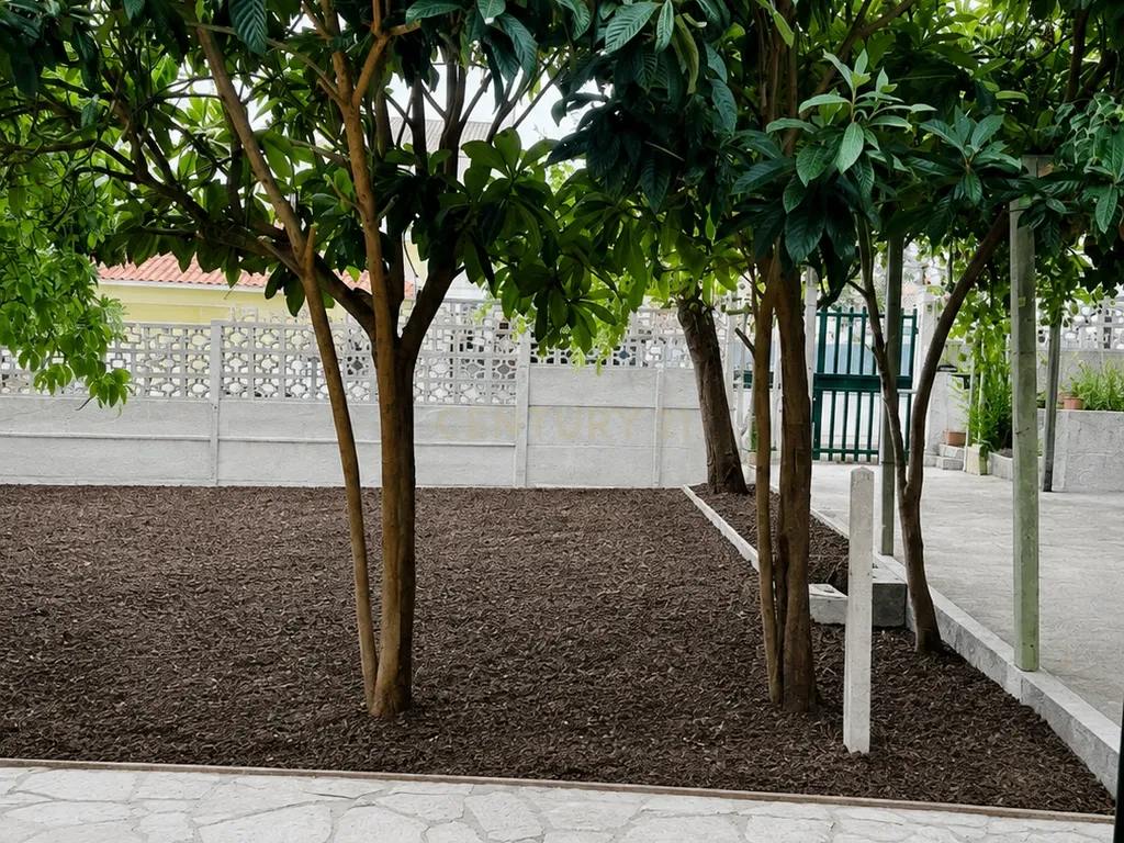 **Moradia térrea para remodelar nas Quintinhas – Charneca da Caparica | Terreno com 290 m²** - Image 7