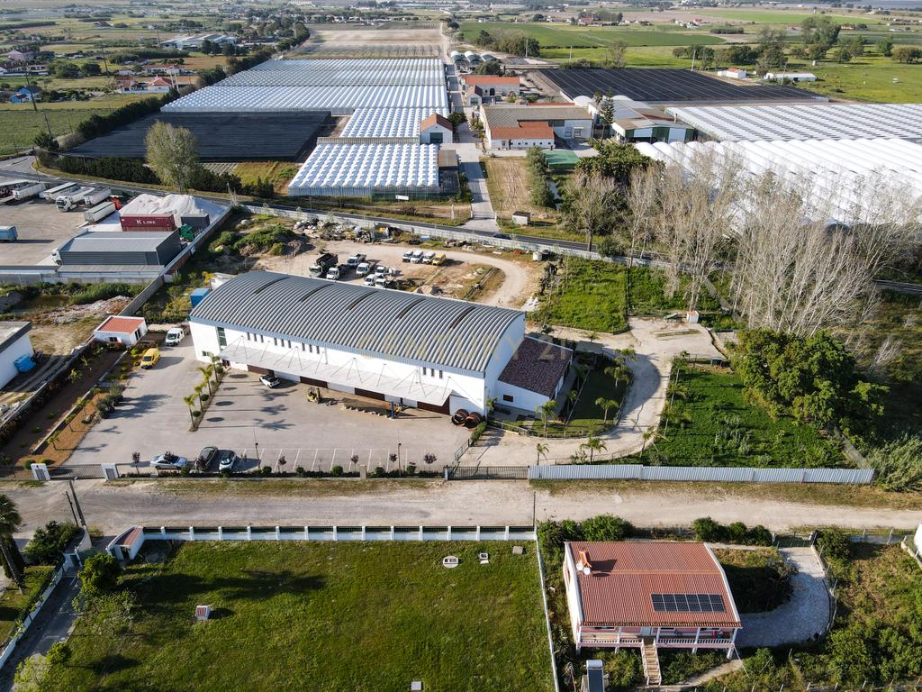 Moradia/Armazém em lote de 10280m2 em Alcochete - Image 66