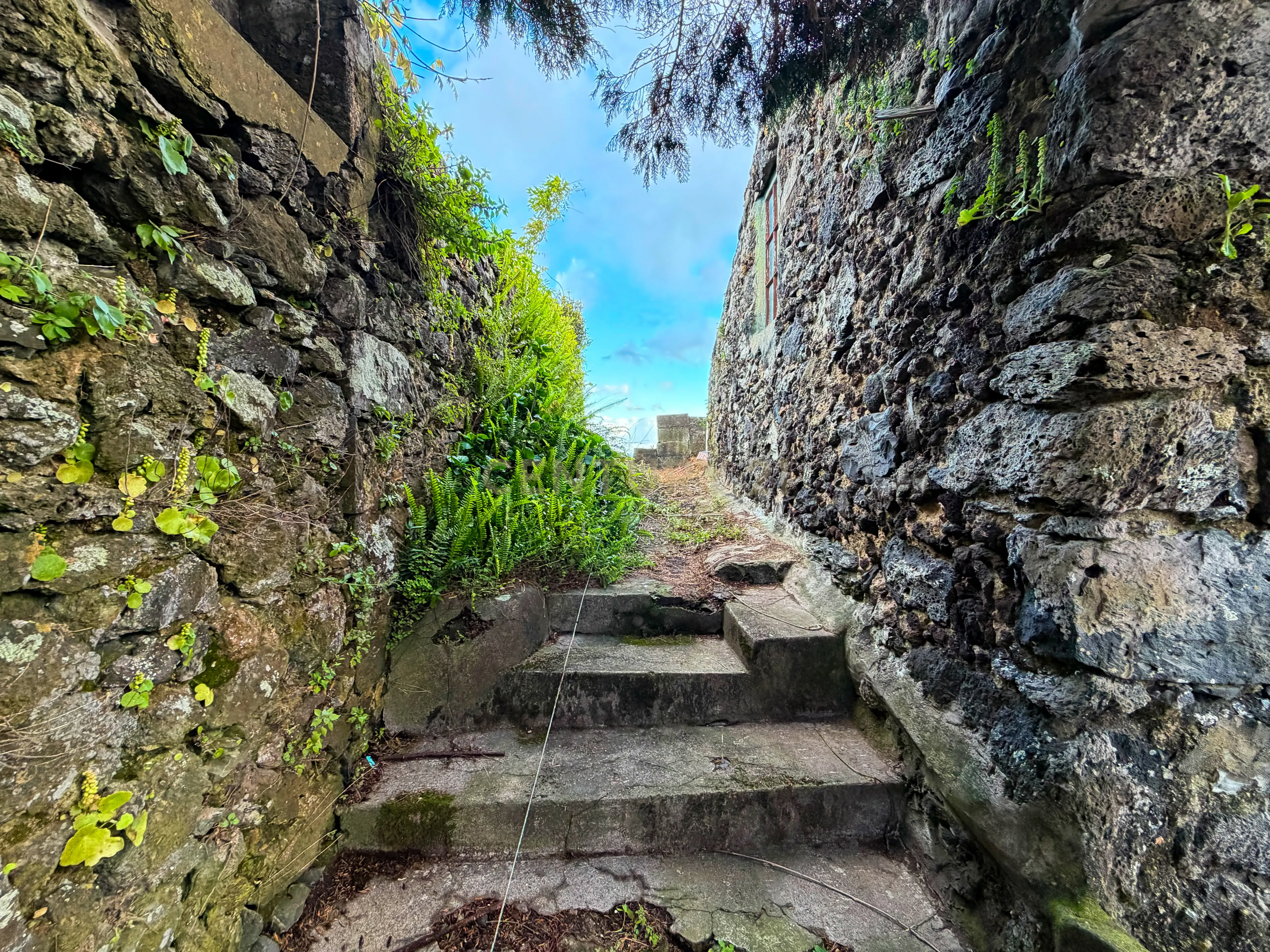 Moradia T3 à venda em Ponta Garça, Vila Franca do Campo — foto 17