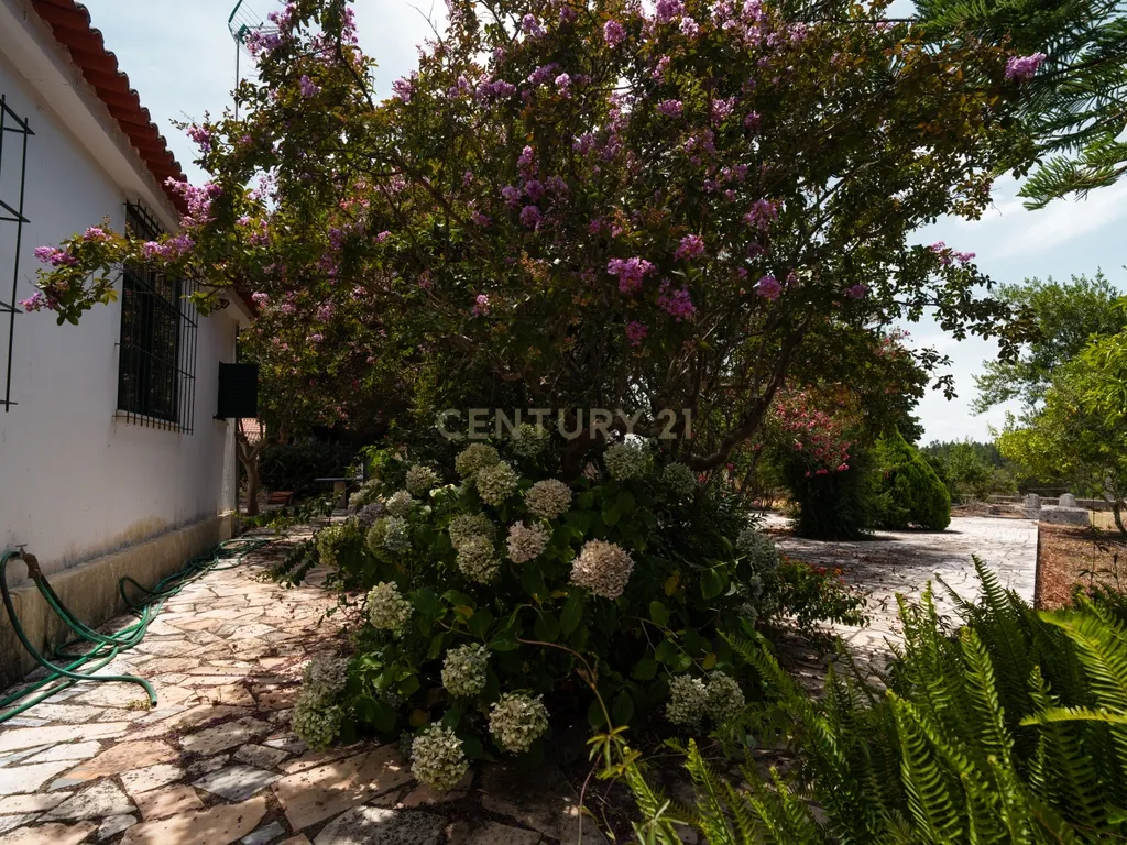 Moradia T4 Exclusiva na Comenda, Gavião – O Teu Refúgio no Alentejo! - Image 65