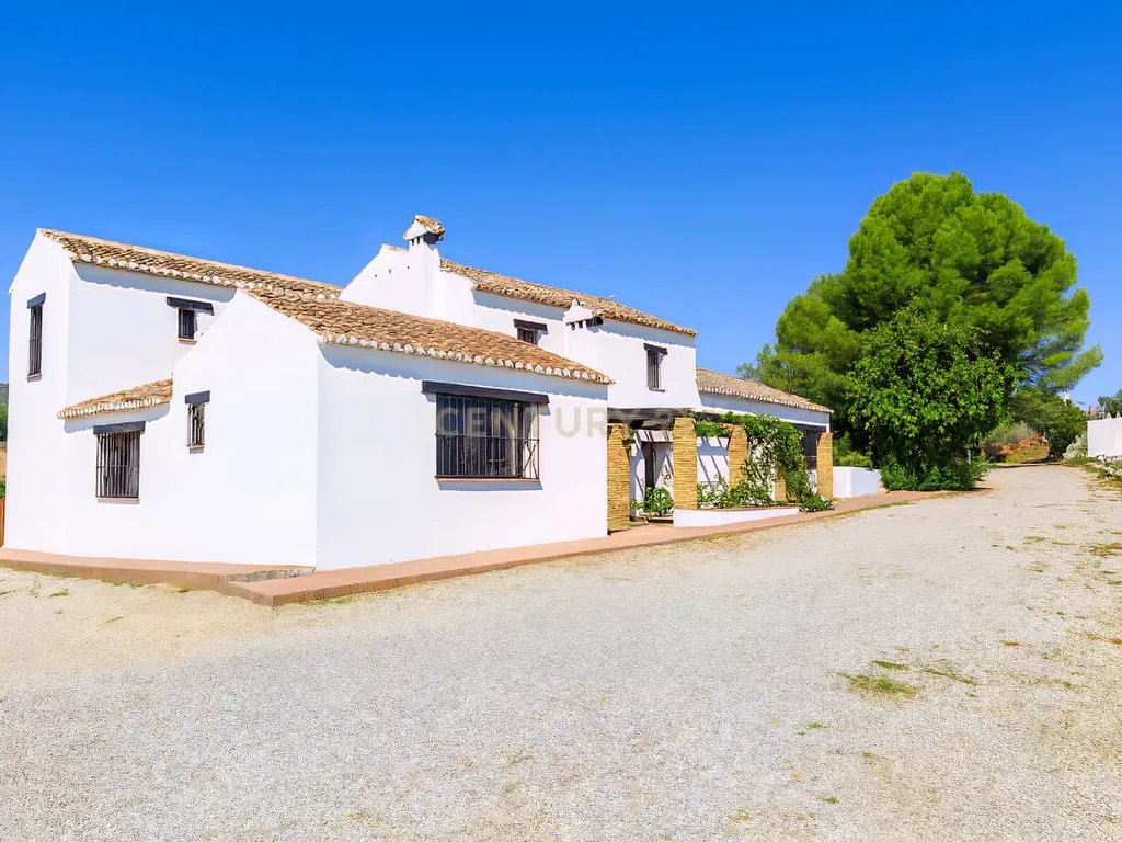 Casa de campo com piscina, vinha, olival, garagem, licença turística e vistas panorâmicas - Ronda, Fuente La Higuera - Image 14