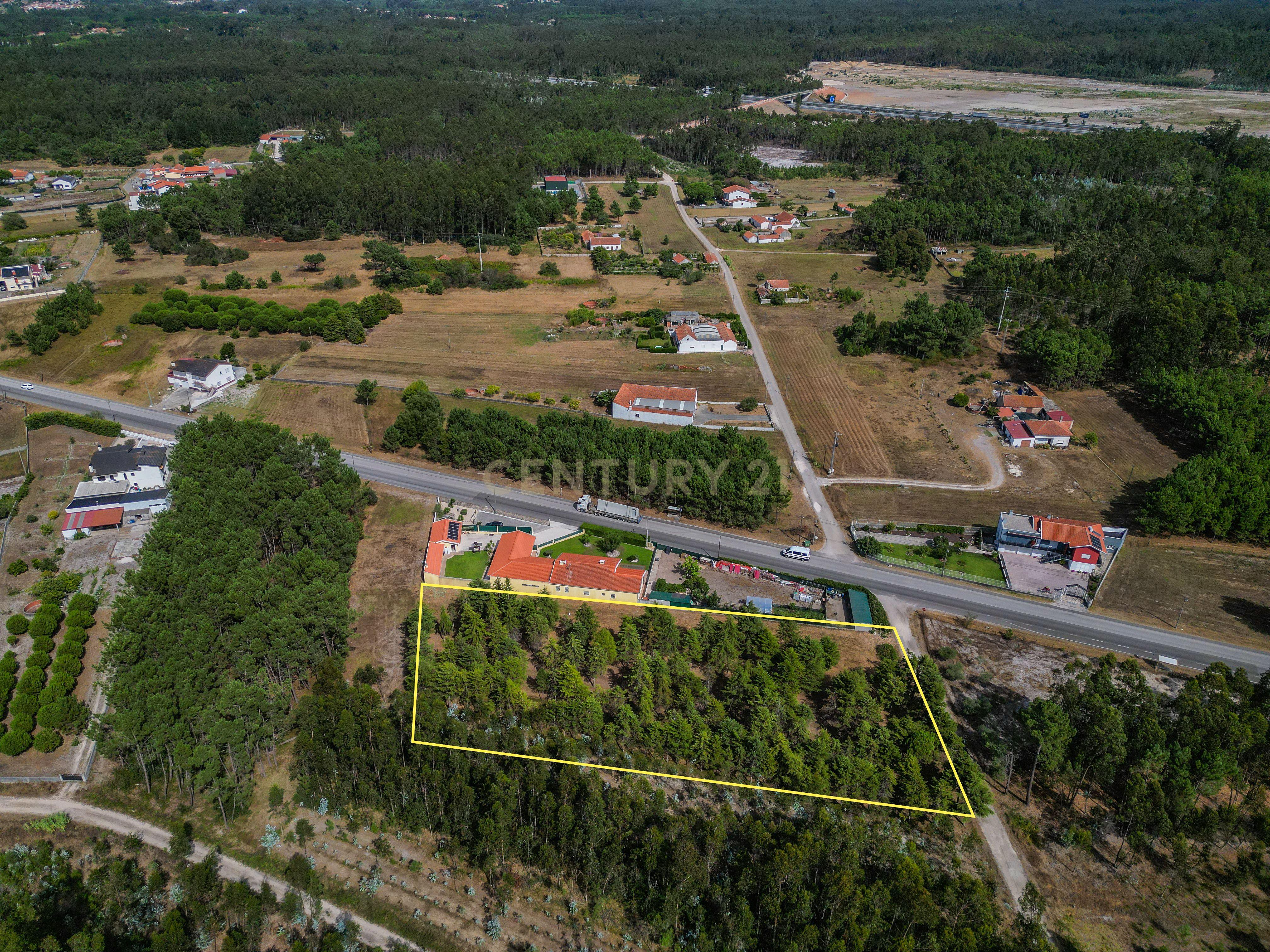 Fotografia 10 de Terreno com cerca de 3.300 m² em zona de pinhal, em Casal Novo, Quiaios – Figueira da Foz