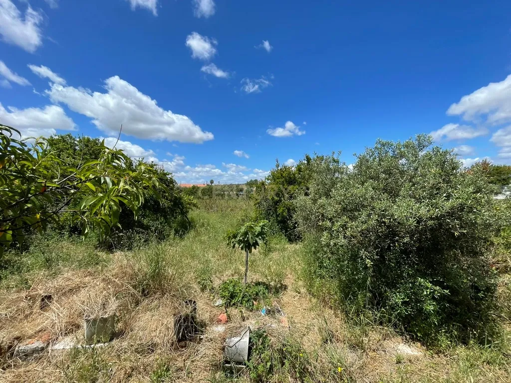 ✨ Terreno com 8.500 m² com 2 Moradia na encantadora Vila da Amareleja – Alentejo ✨ - Image 17