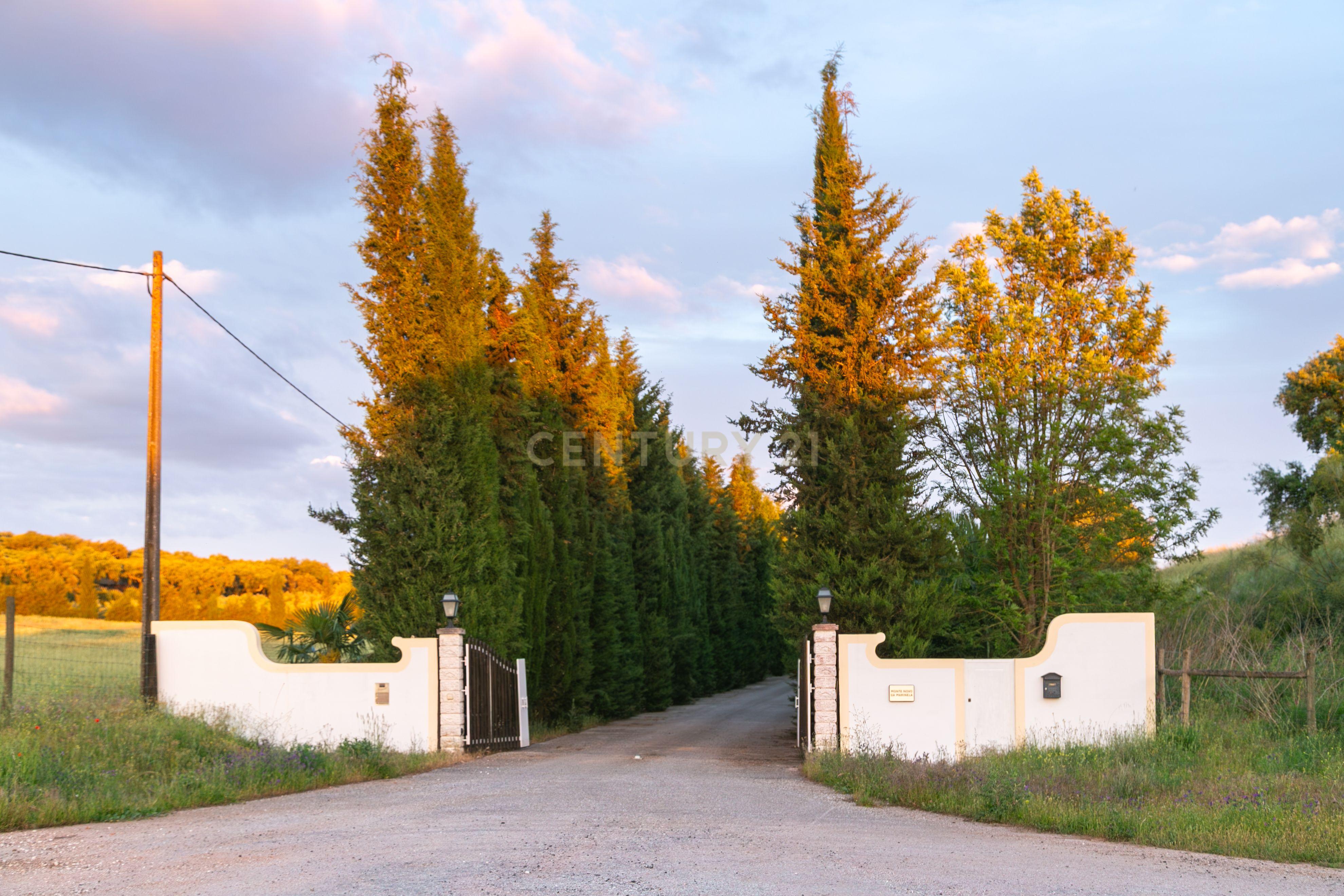 Fotografia 5 de Monte Novo da Marinela – Exclusividade e Tranquilidade no Coração do Alentejo