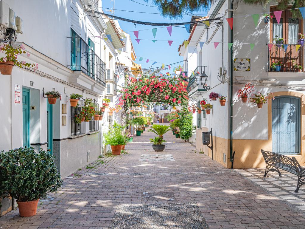 Venta de Parcela Rustica en Estepona - Image 14