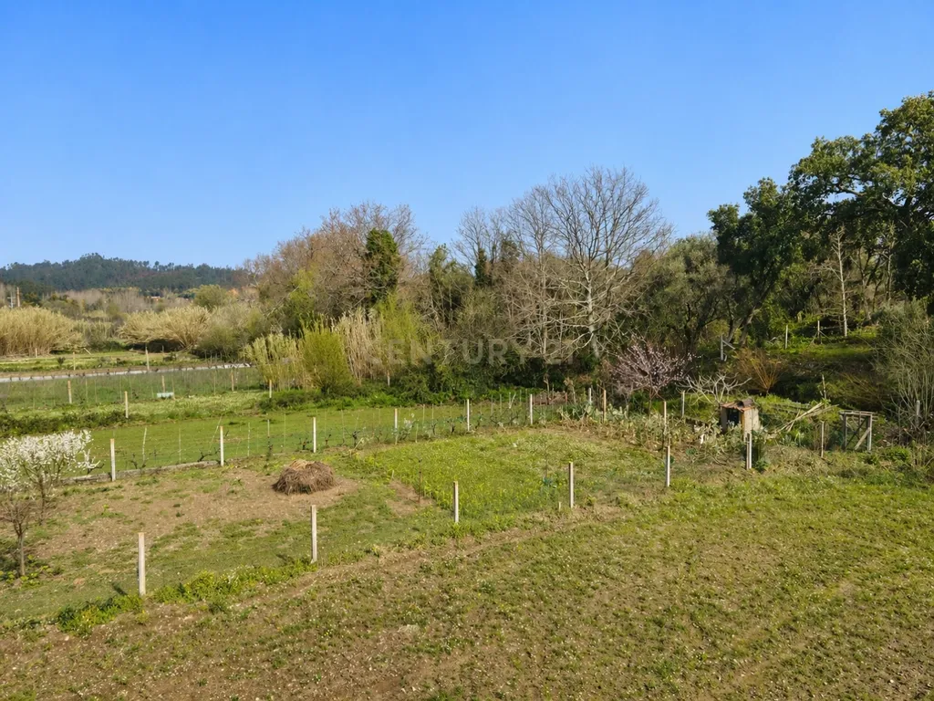 Moradia T3 terréa em bom estado com piscina,jardim,anexo,arrumação,quintal e vistas boas num local sossegado a 5 min de Lousã - Image 57