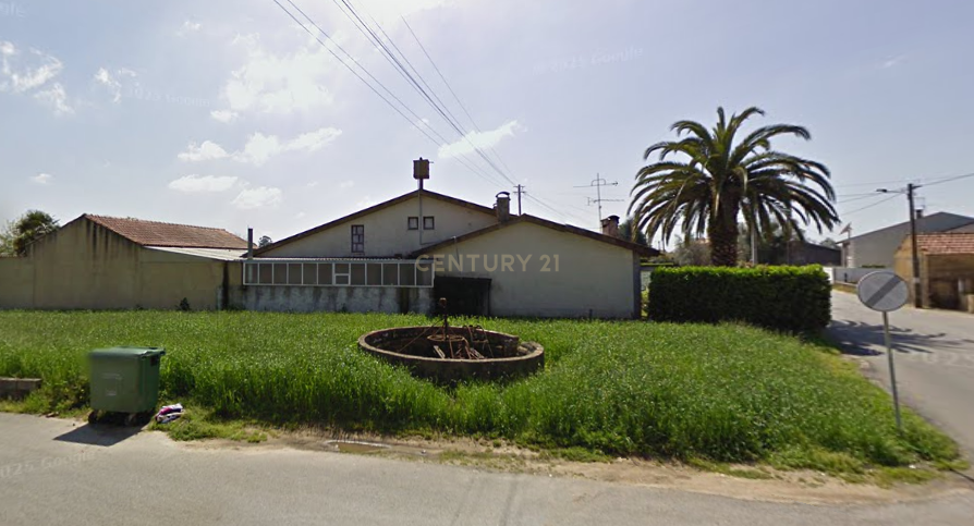 Terreno com Vista Panorâmica em Oiã - Oliveira do Bairro - Image 3