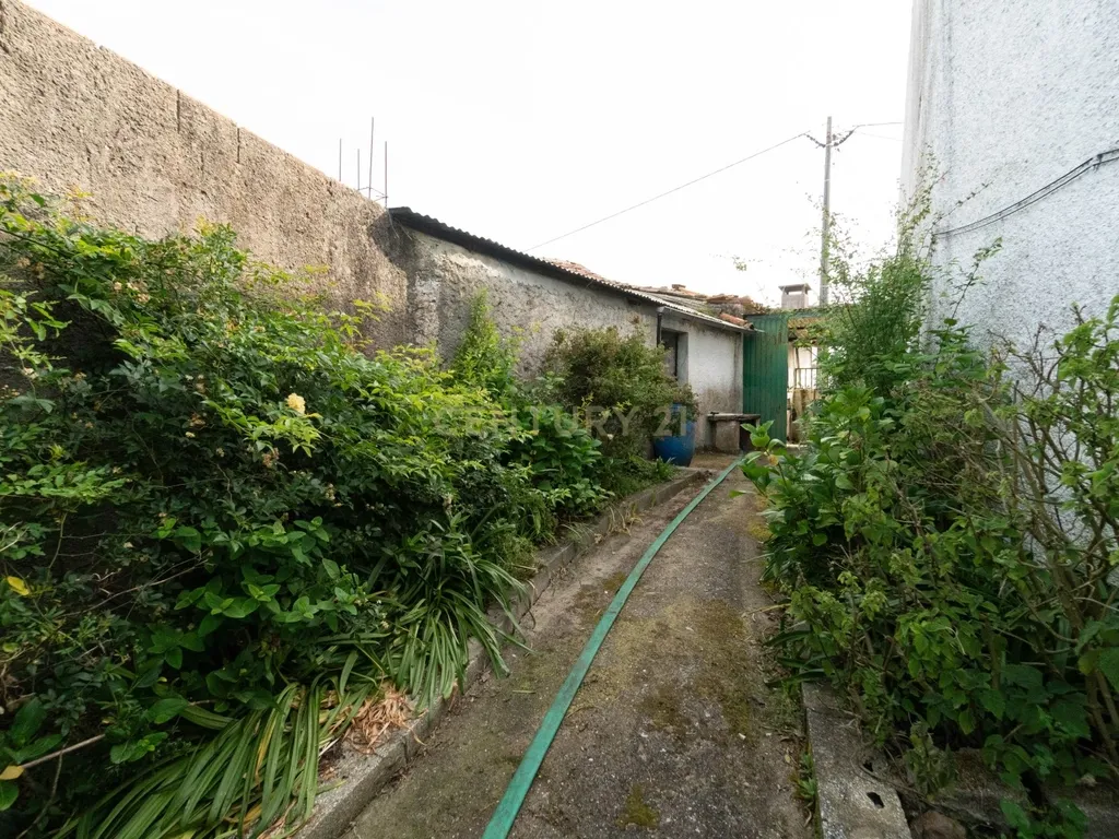 Moradia p/reconstrução com terreno no Forcado – Vila Nova de Poiares - Image 18