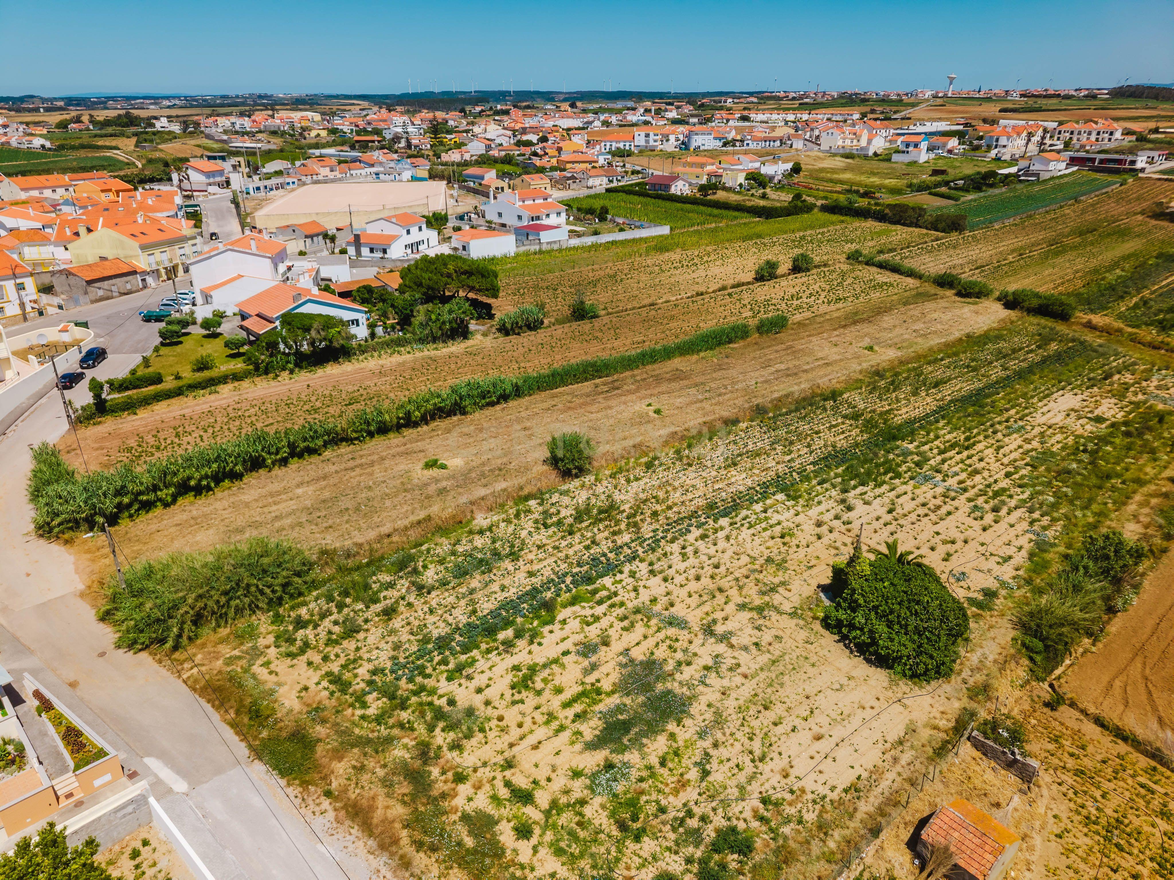 Fotografia 6 de Terreno com vista mar e PIP aprovado -Atouguia da Baleia, Peniche