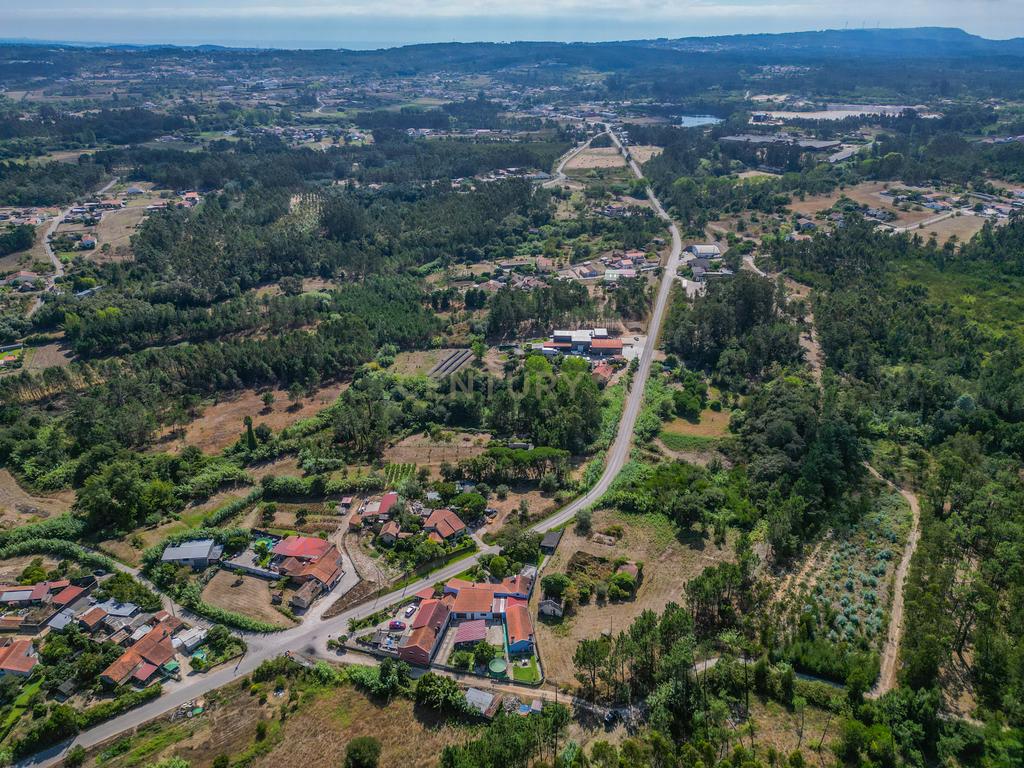Propriedade com duas casas para reabilitar, terreno e poço na Costeira – Figueira da Foz - Image 4