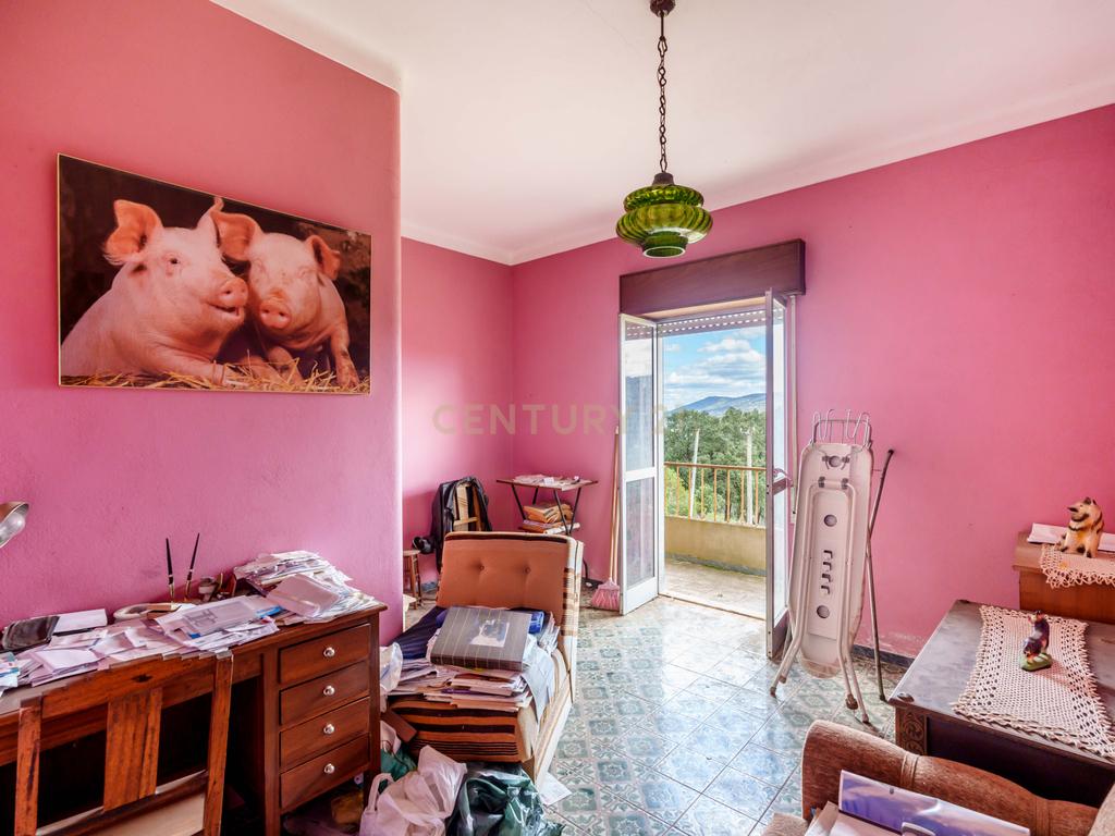 QUINTA COM 2,5 HECTARES EM ZONA CENTRAL DE MONCHIQUE - Image 22