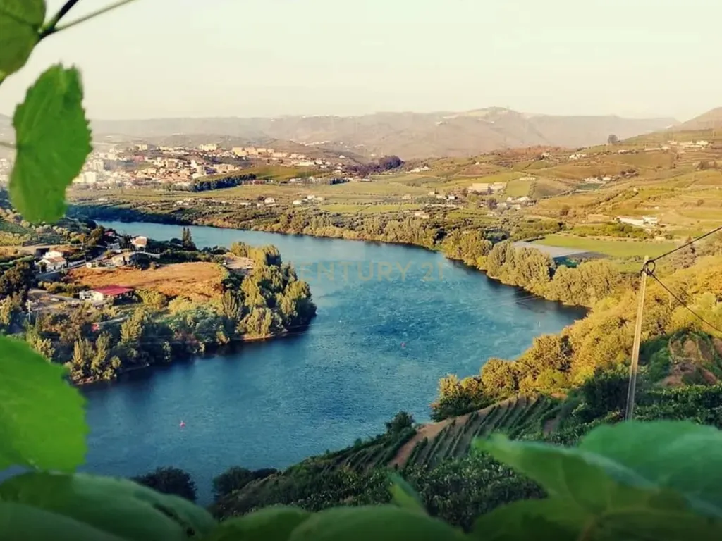 Hotel DD uma "varanda" para o rio Douro, integrado numa quinta no coração do Alto Douro Vinhateiro, perto do Peso da Régua, Portugal - Image 15