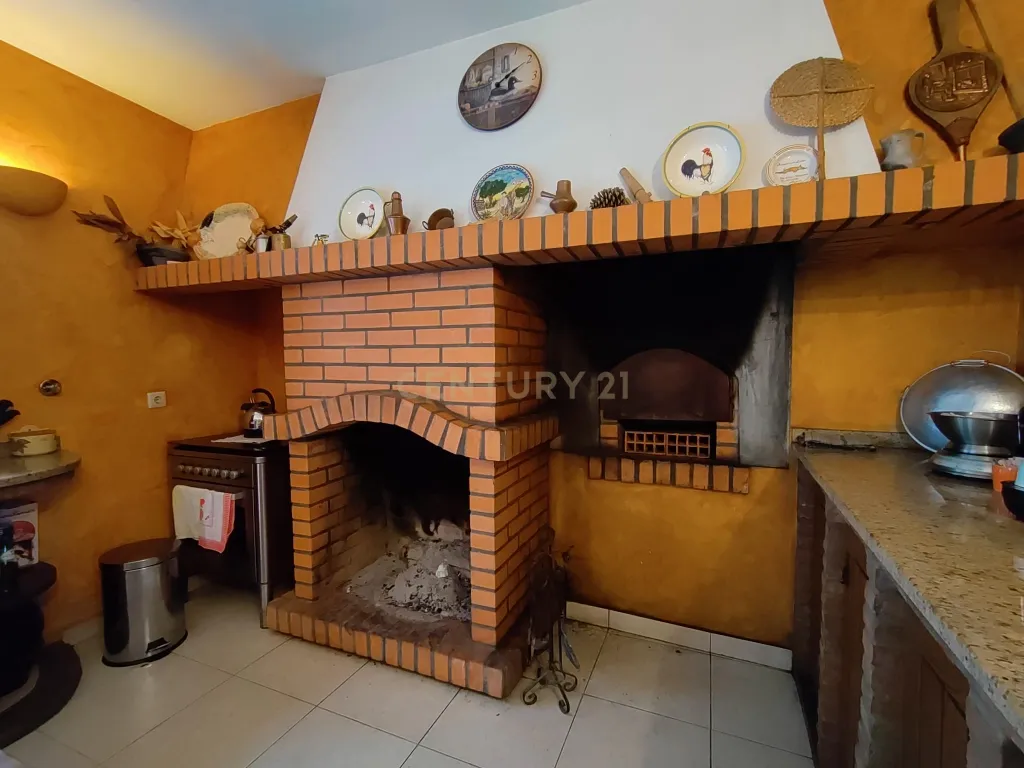 Quinta com ancestral moradia para habitação particular ou turismo de habitação em Felgueiras, Resende, Viseu - Image 15