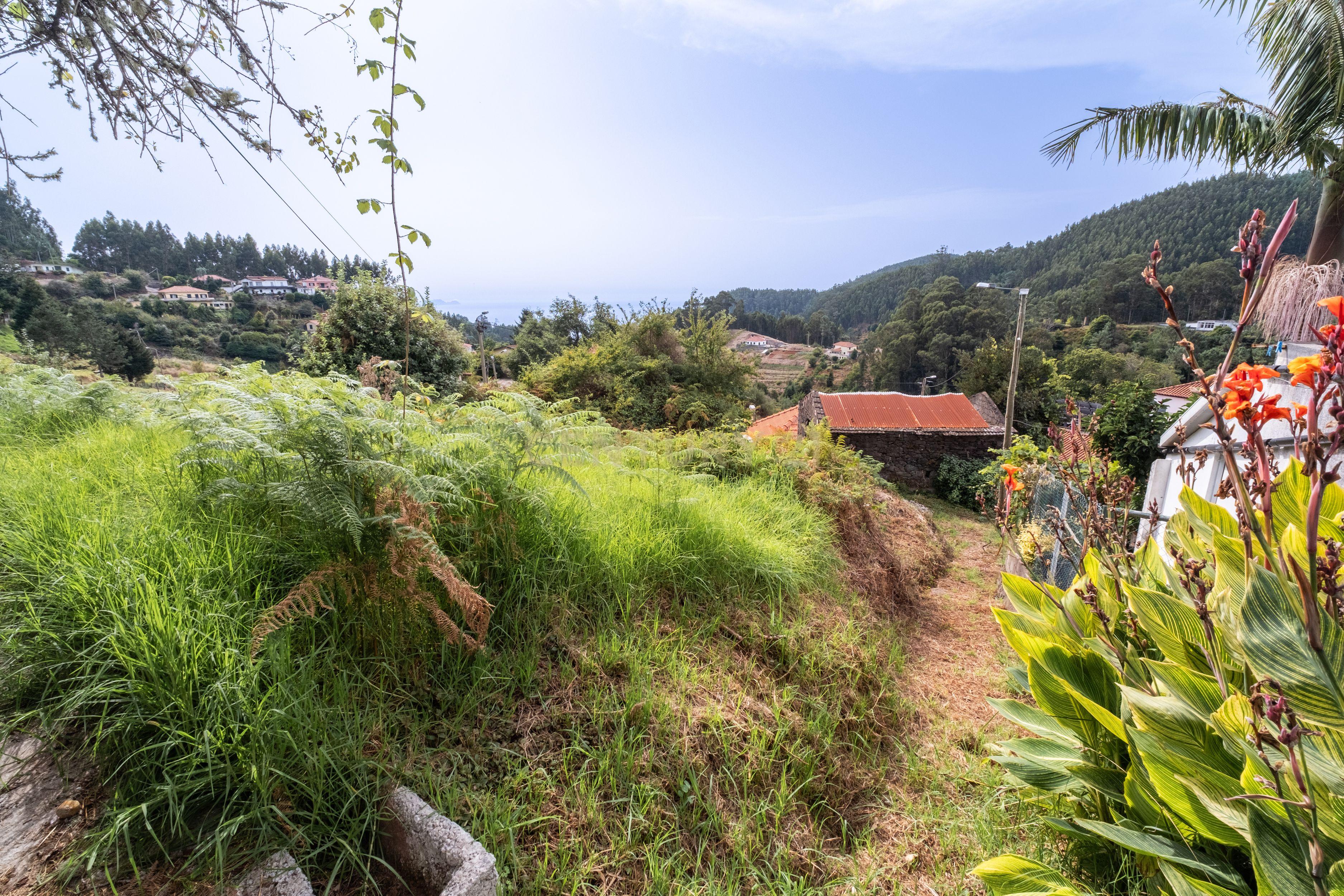 Moradia T1 à venda em Santo António da Serra, Santa Cruz — foto 33