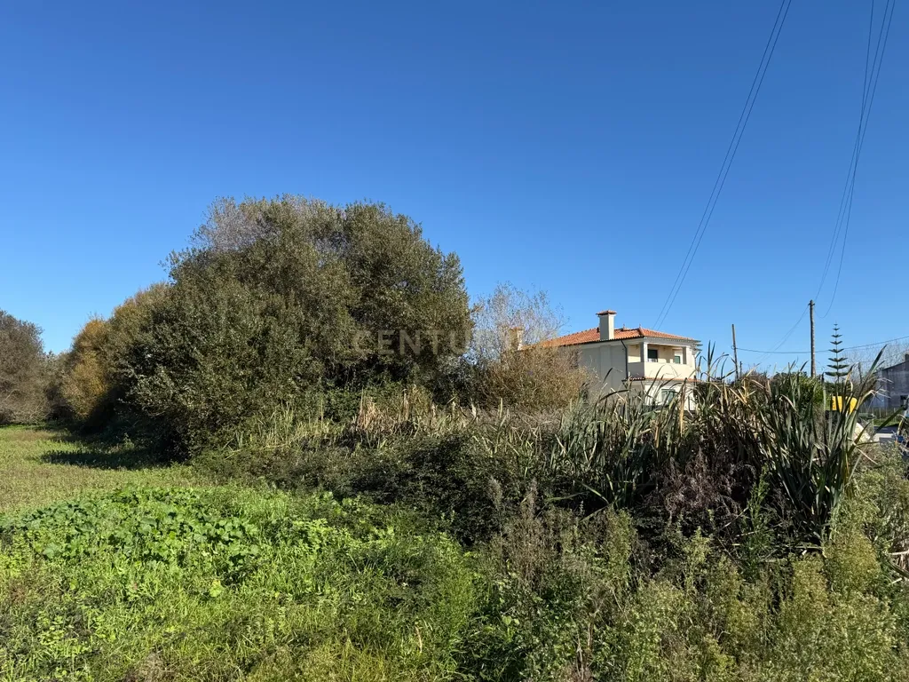 Terreno Rústico em Ílhavo com Viabilidade de Construção - Image 6