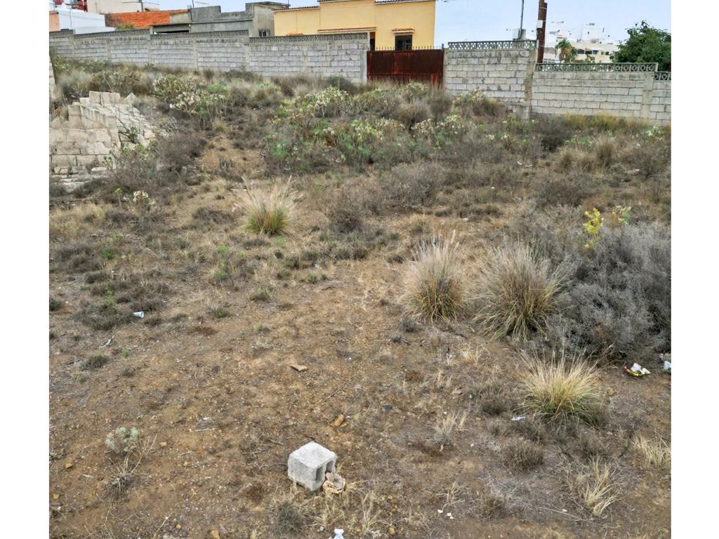 - Image 13
