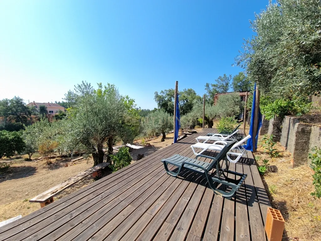Encantadora propriedade rural | Oportunidade única de investimento - Olalhas, Tomar - Image 38