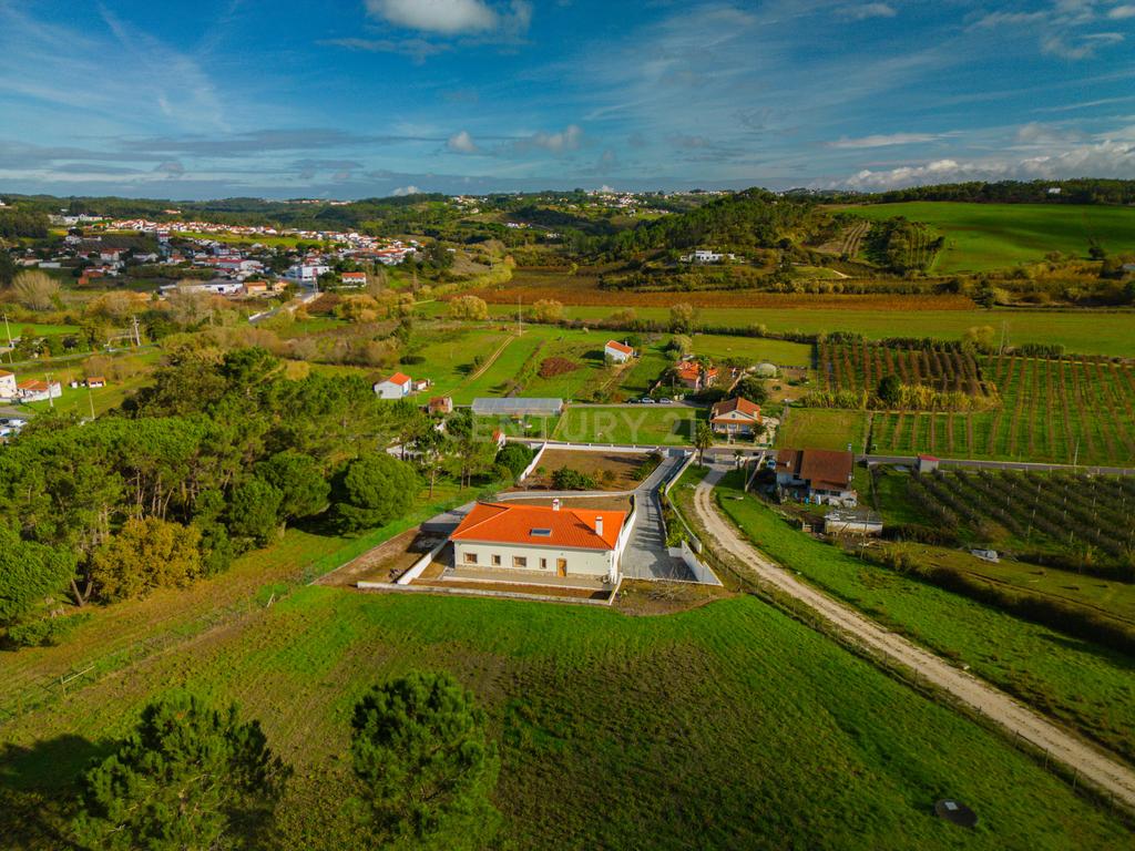 Moradia T3- Coto- Caldas Da Rainha - Image 3