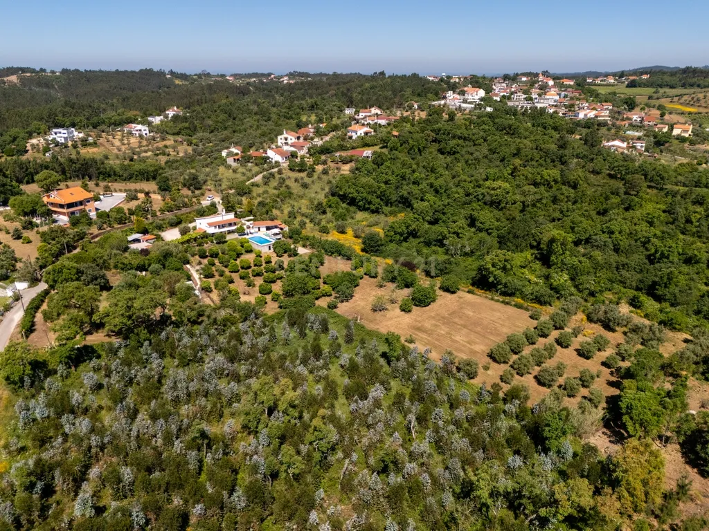 Quinta de 1ha vedada com piscina, jacuzzi, pomar e vista panorâmica em Olalhas, Tomar - Image 29