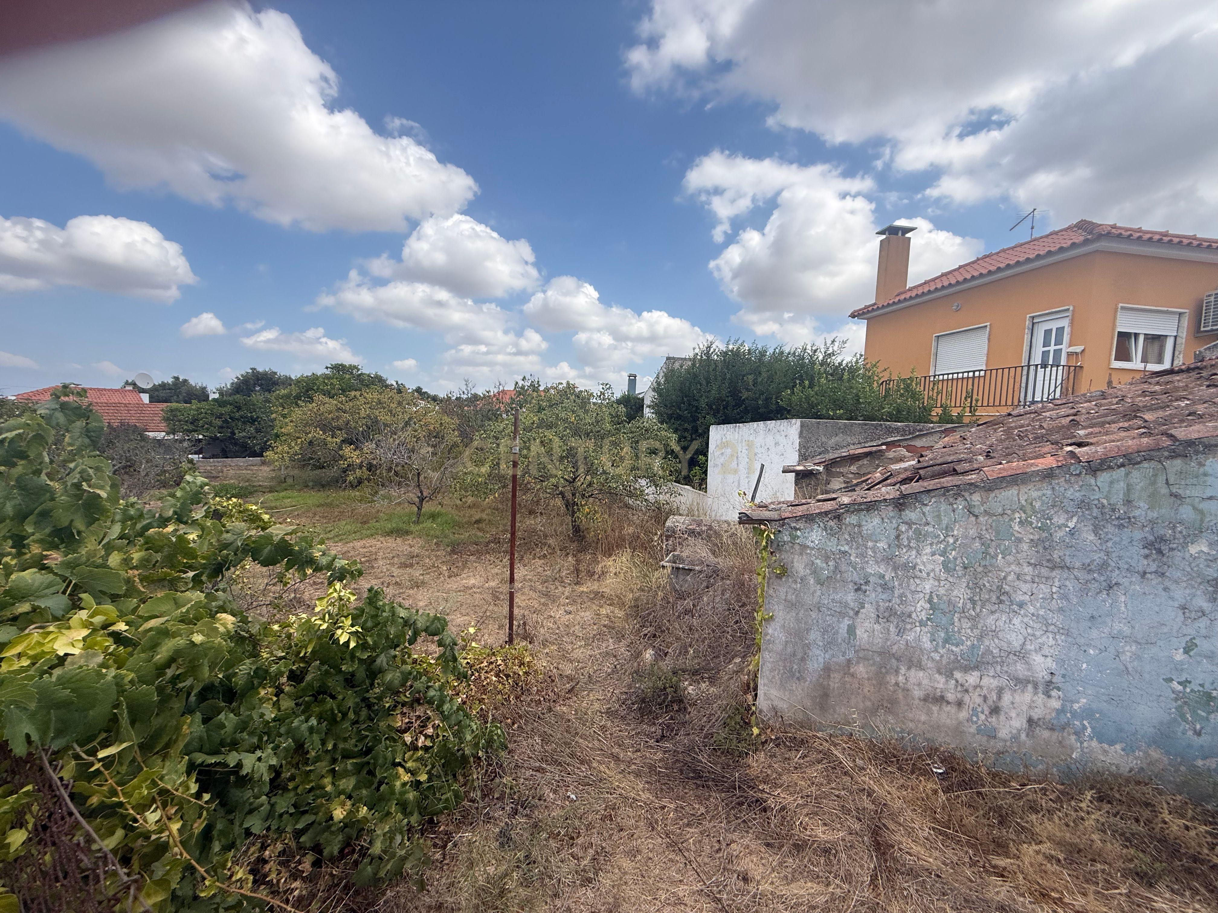 Fotografia 3 de Terreno com ruína em Quinta do Anjo, Palmela - Oportunidade Única
